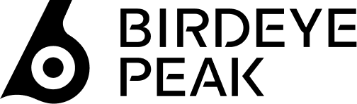 light logo