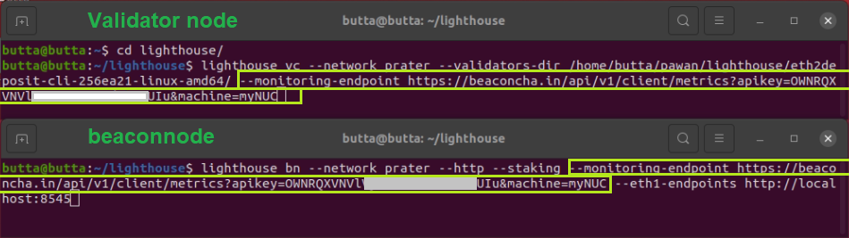 Screenshot: Lighthouse command line flags