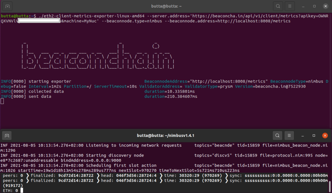 Screenshot: Nimbus section in beaconcha.in settings