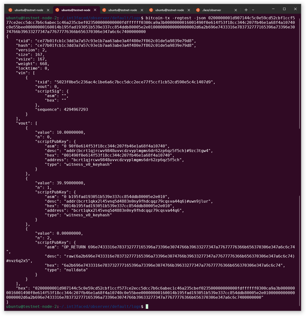 decoded_raw_transaction