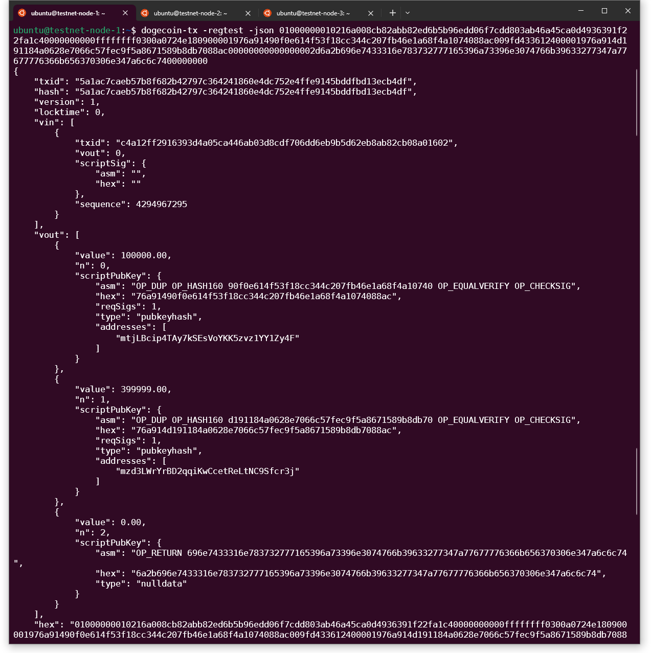 decoded_raw_transaction