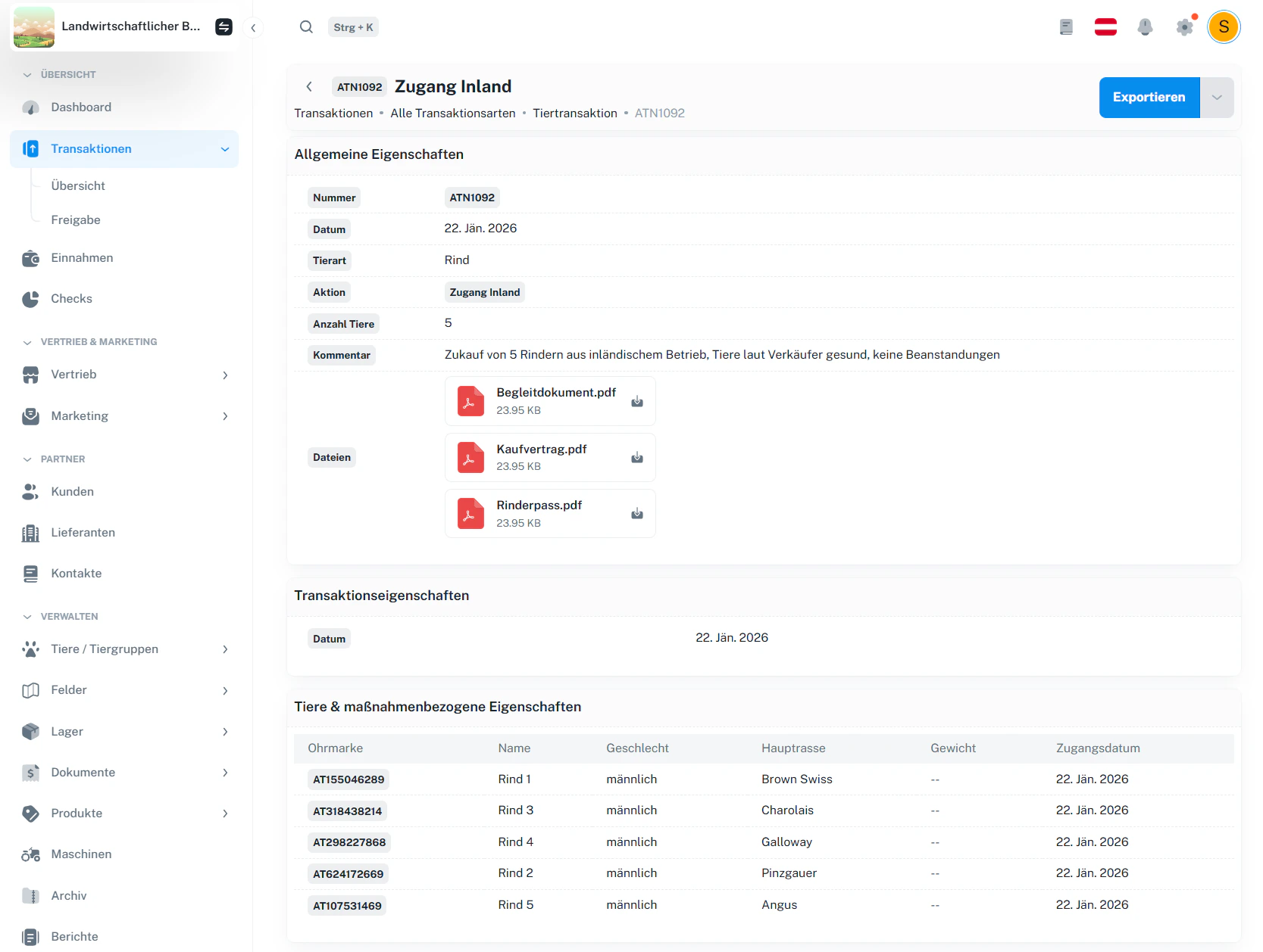Zugeordnete Dateien – Beispielansicht (Dokumente einer Transaktion)
