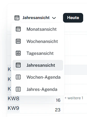 Kalender – Ansichten auswählen