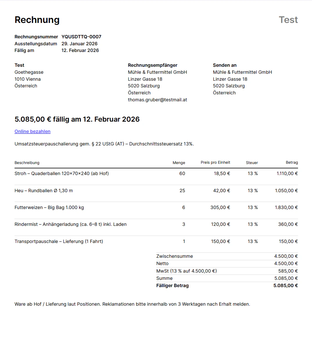 Rechnung als PDF – Layout mit Positionen, Summen und MwSt.