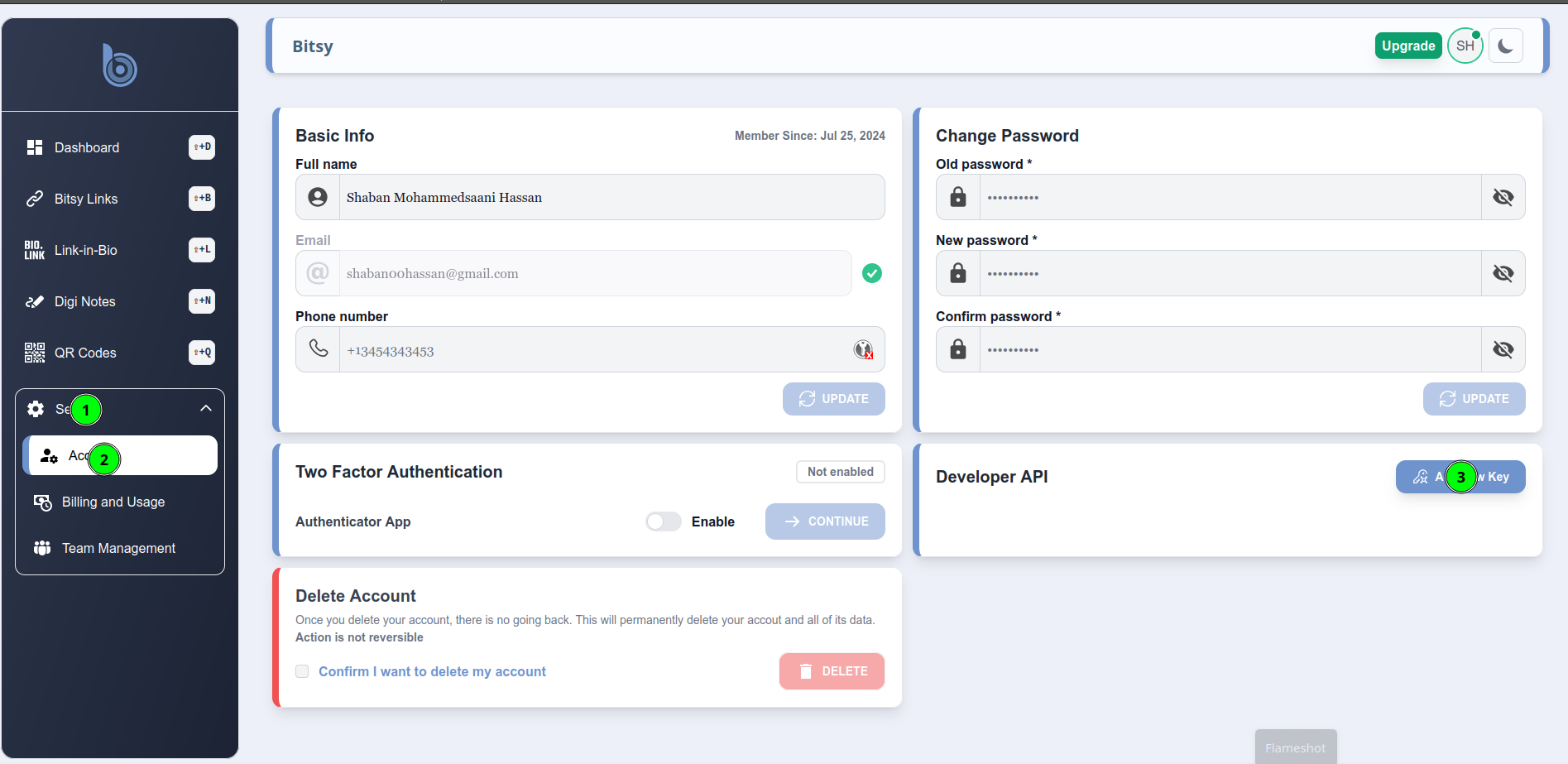 Developer API settings on Bitsy