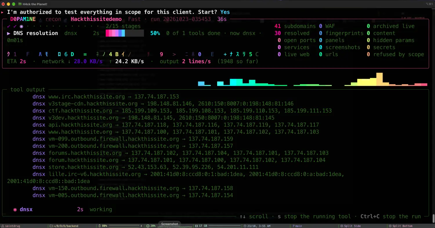 The live recon run screen, DNS resolution stage