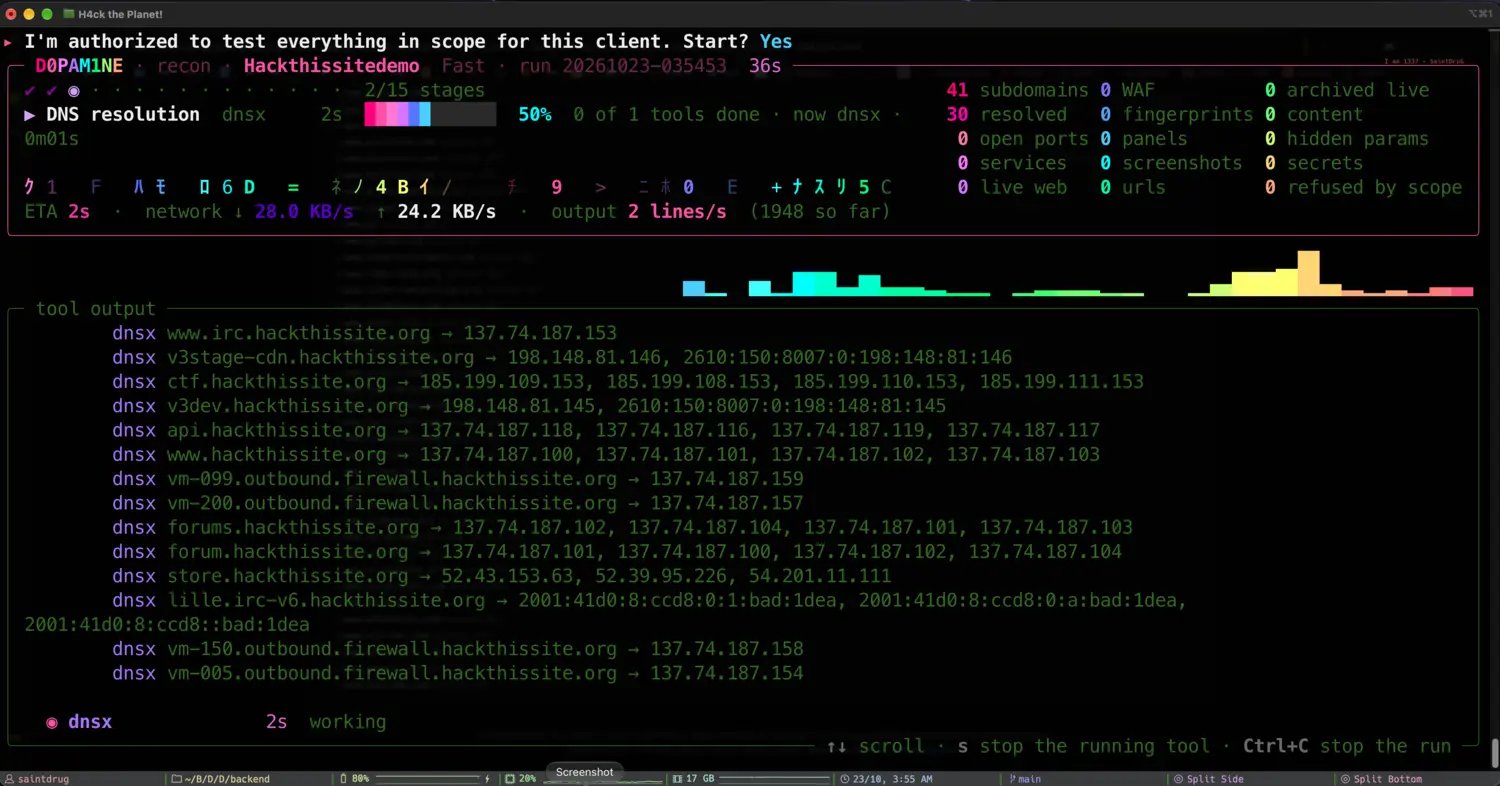 The live recon run screen, DNS resolution stage