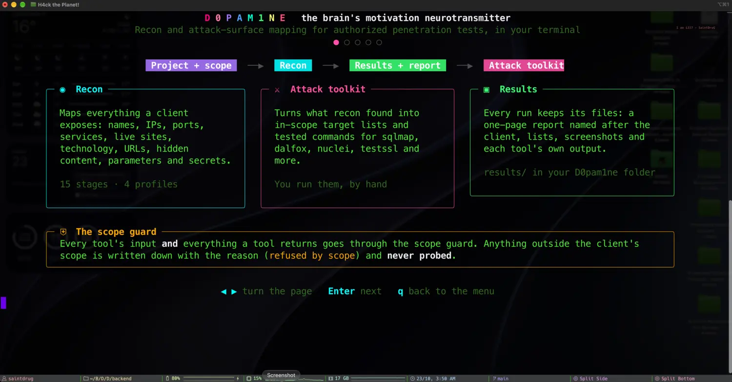 The D0pam1ne flow: project and scope, recon, results, attack toolkit