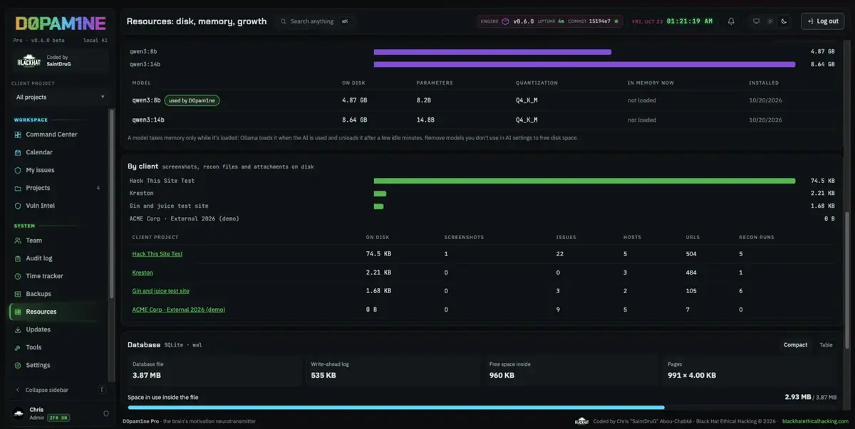 Per-client resource usage and database size