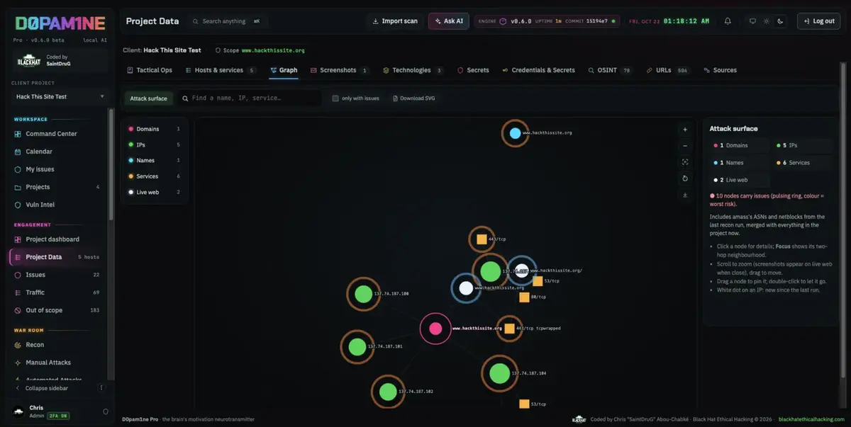 The attack-surface graph of domains, hosts and services