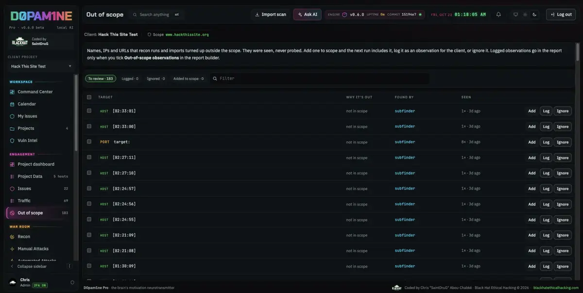 The Out of scope page keeps a clean record of what was excluded