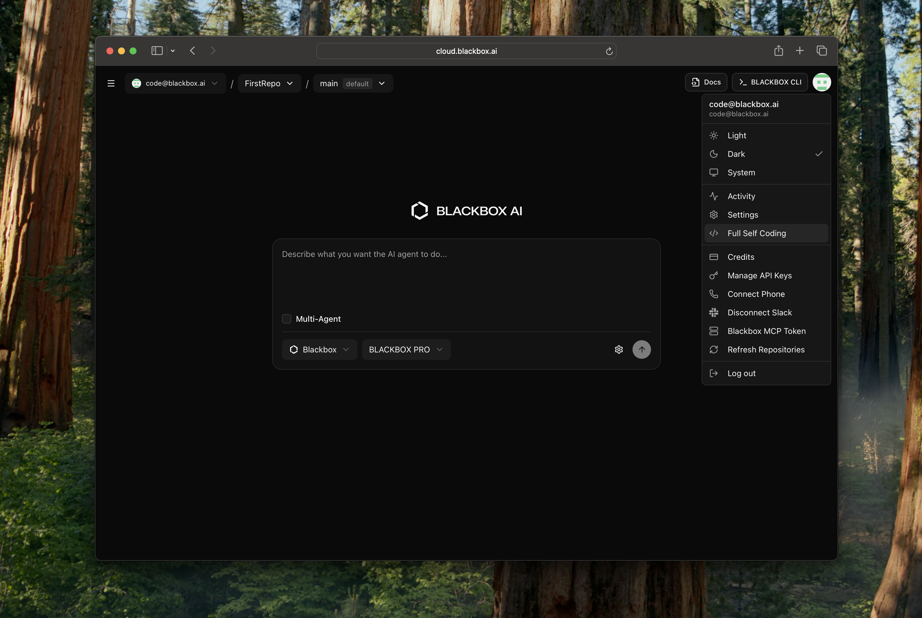 Full Self Coding Option