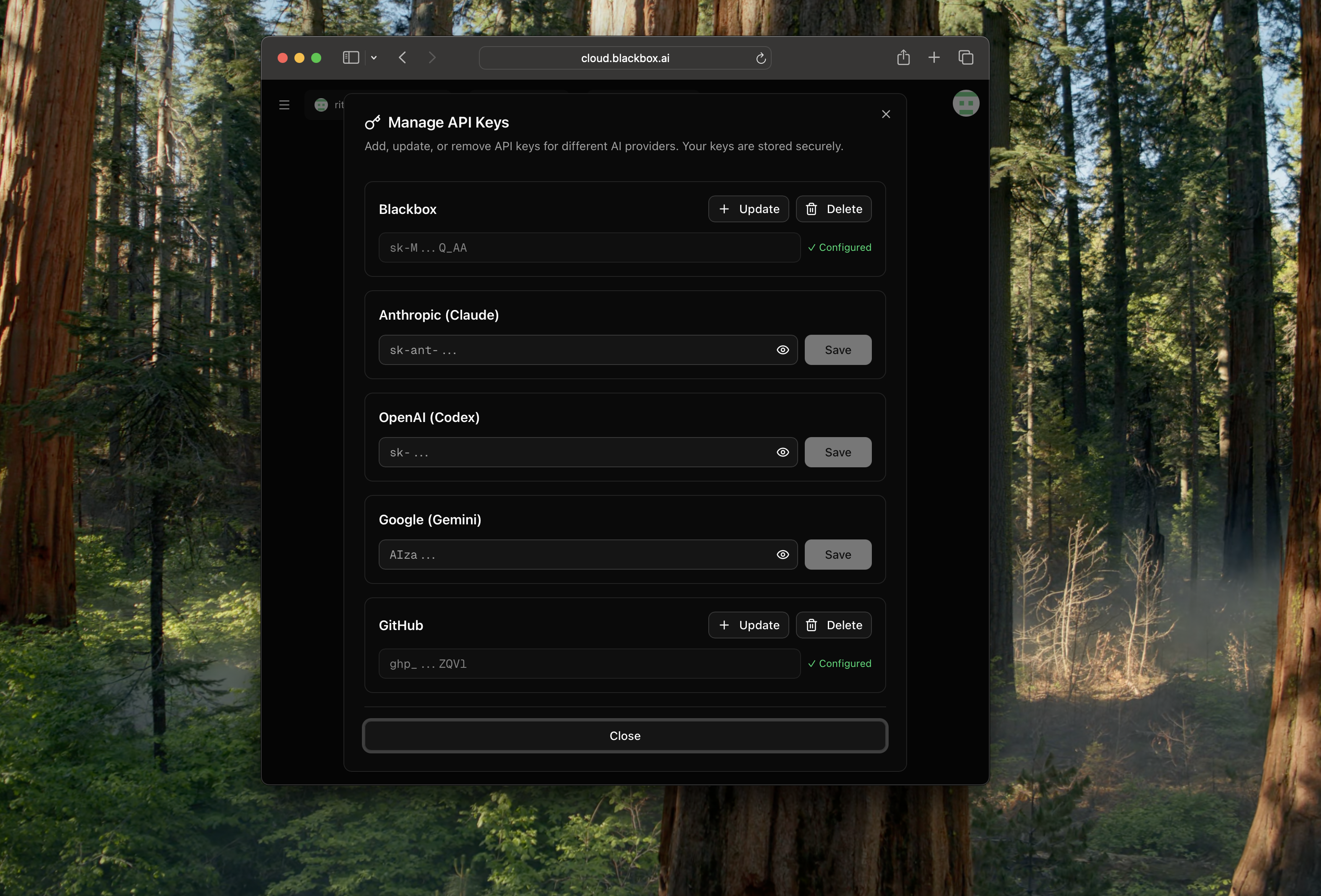 Manage GitHub Key