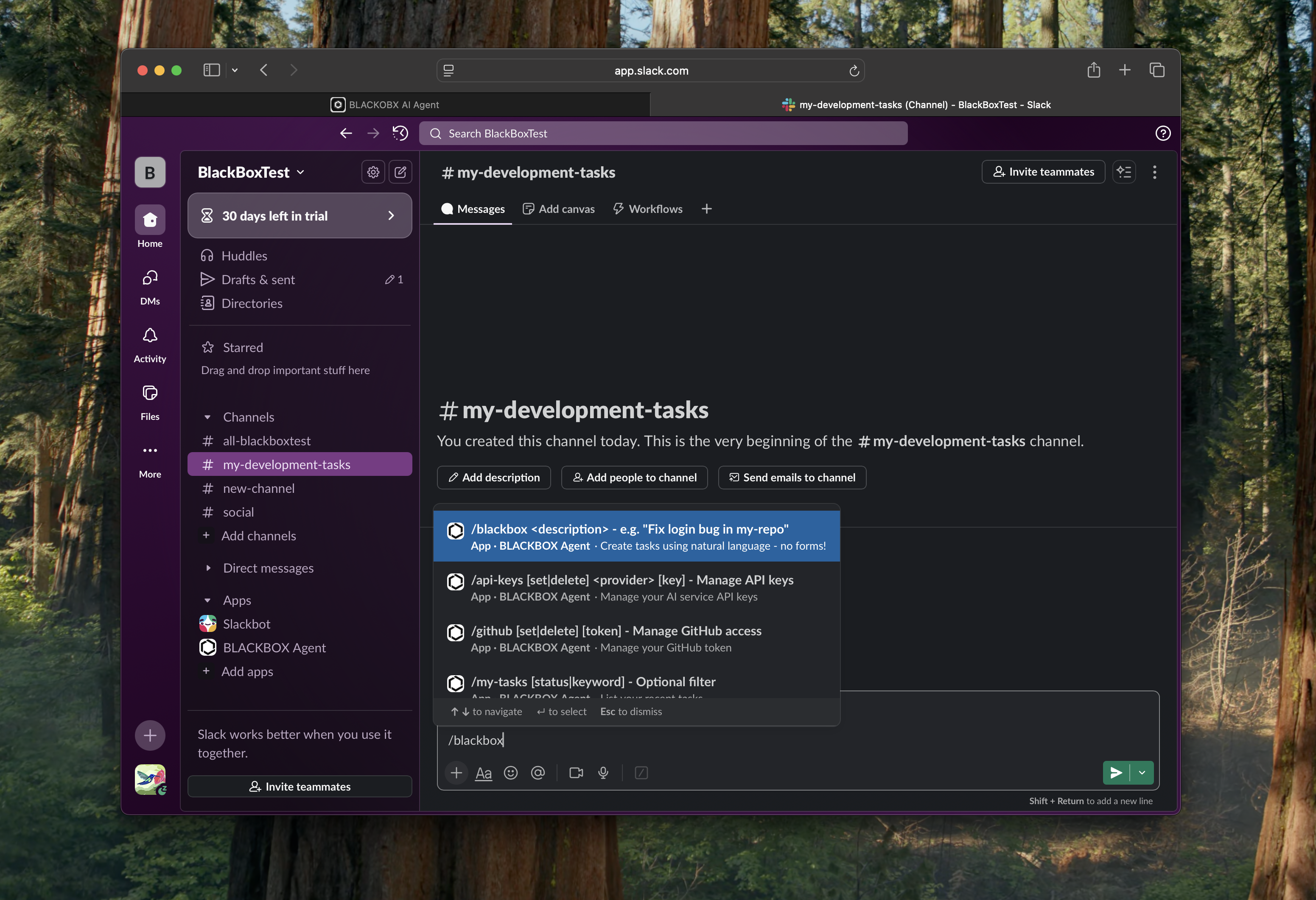 Blackbox Commands