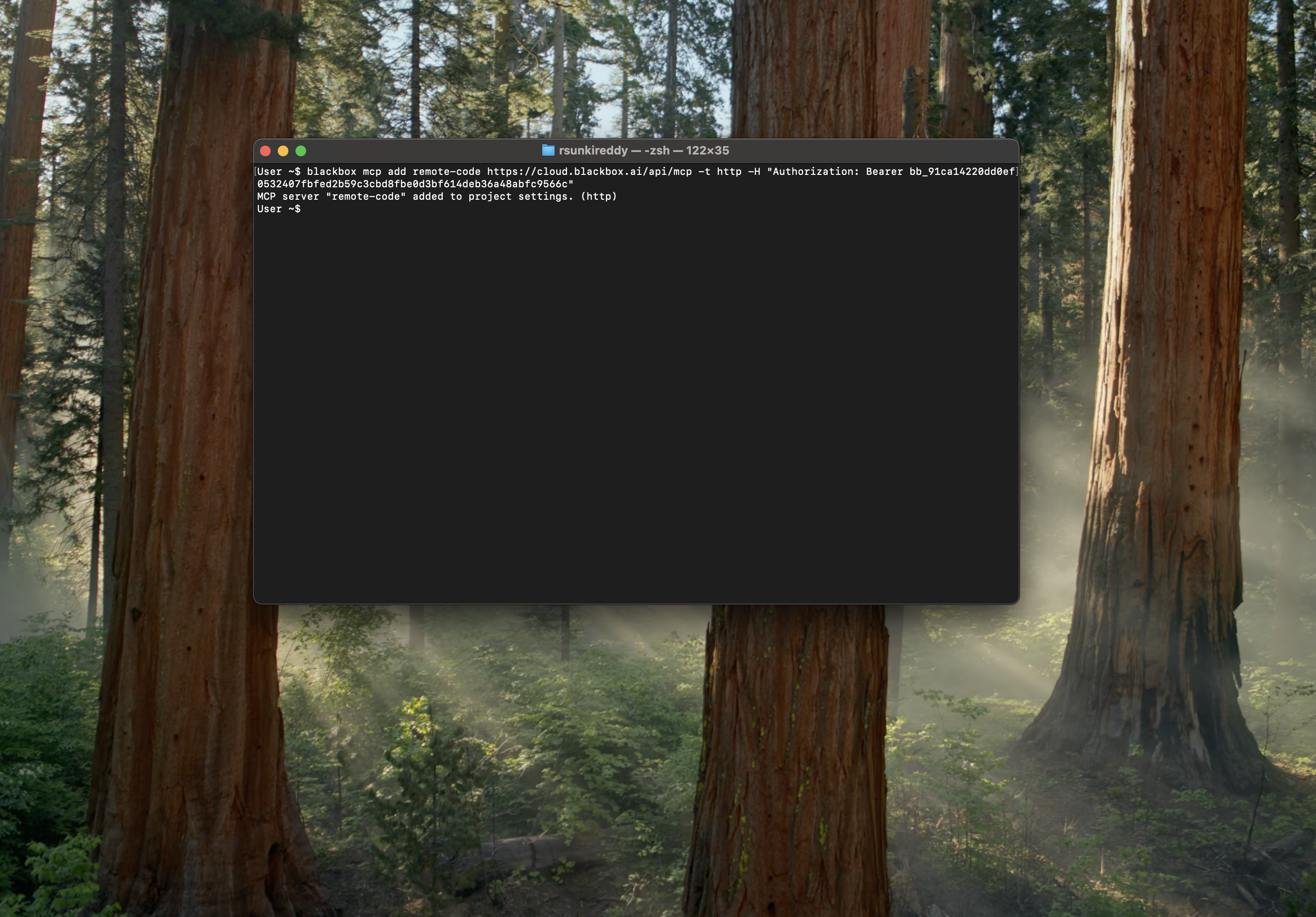 Add MCP Command