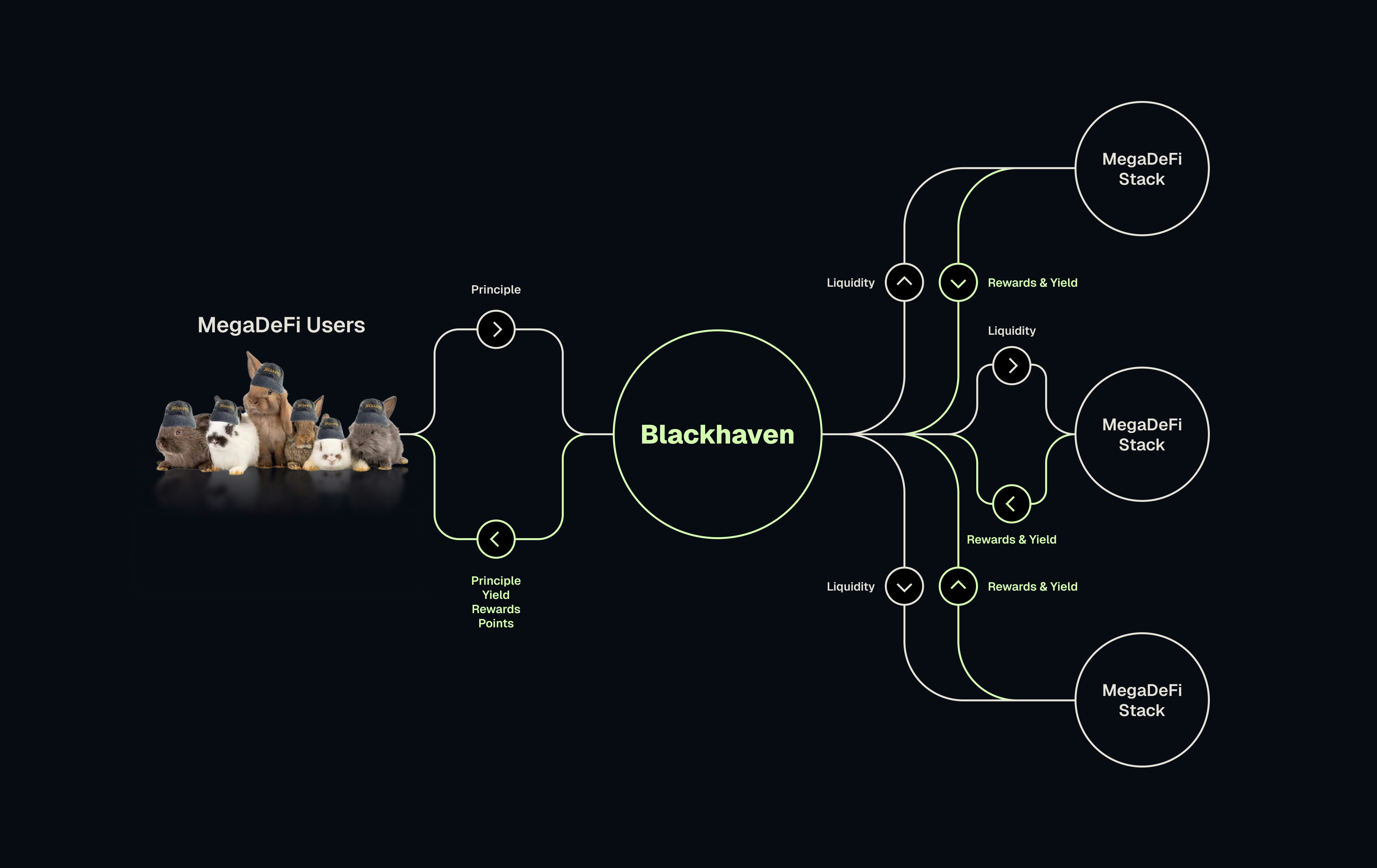 Blackhaven Flow Diagram