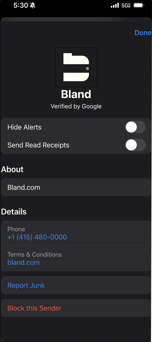 RCS business profile verified by Google