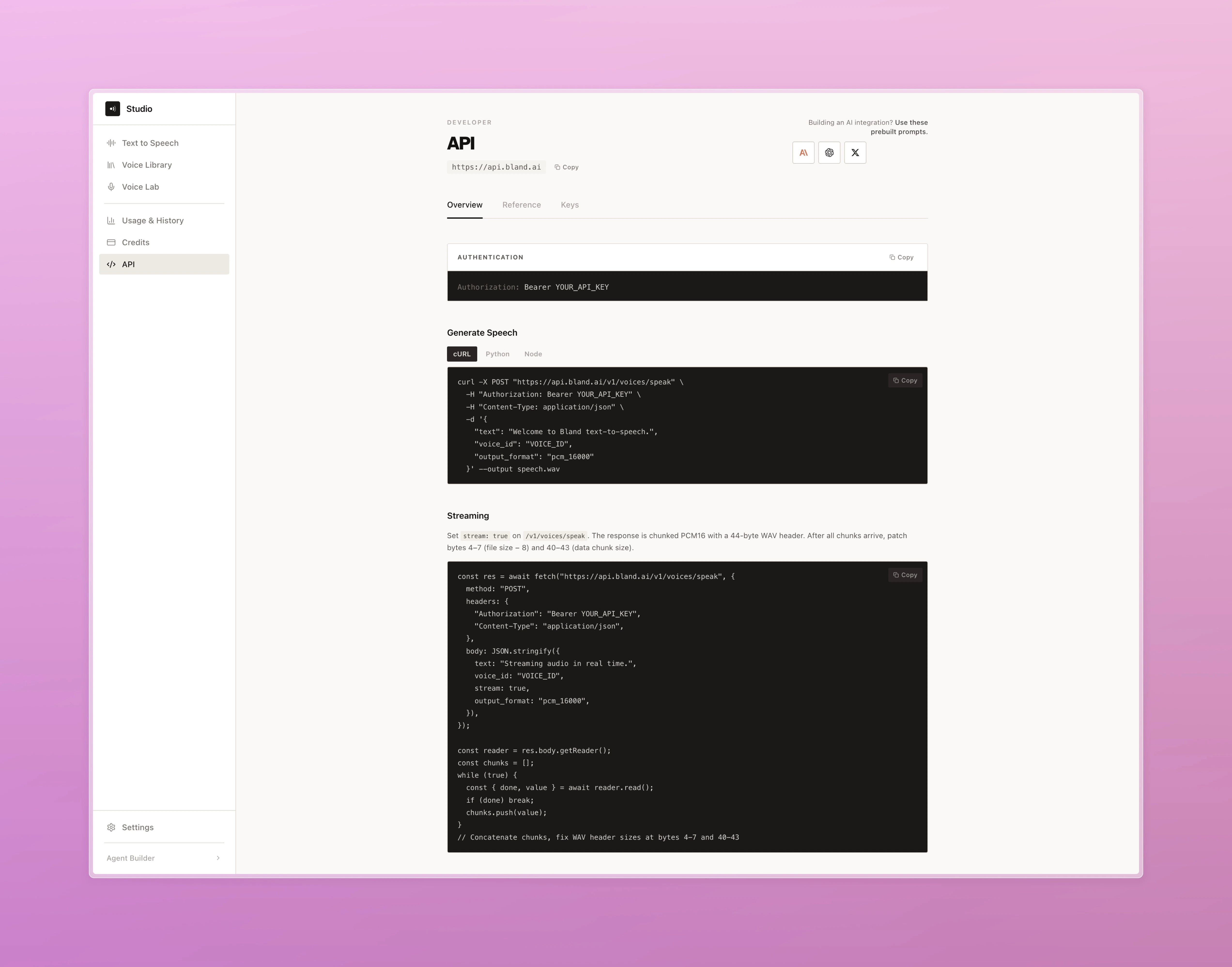Developer API page showing authentication, code examples in cURL and Node, and streaming docs