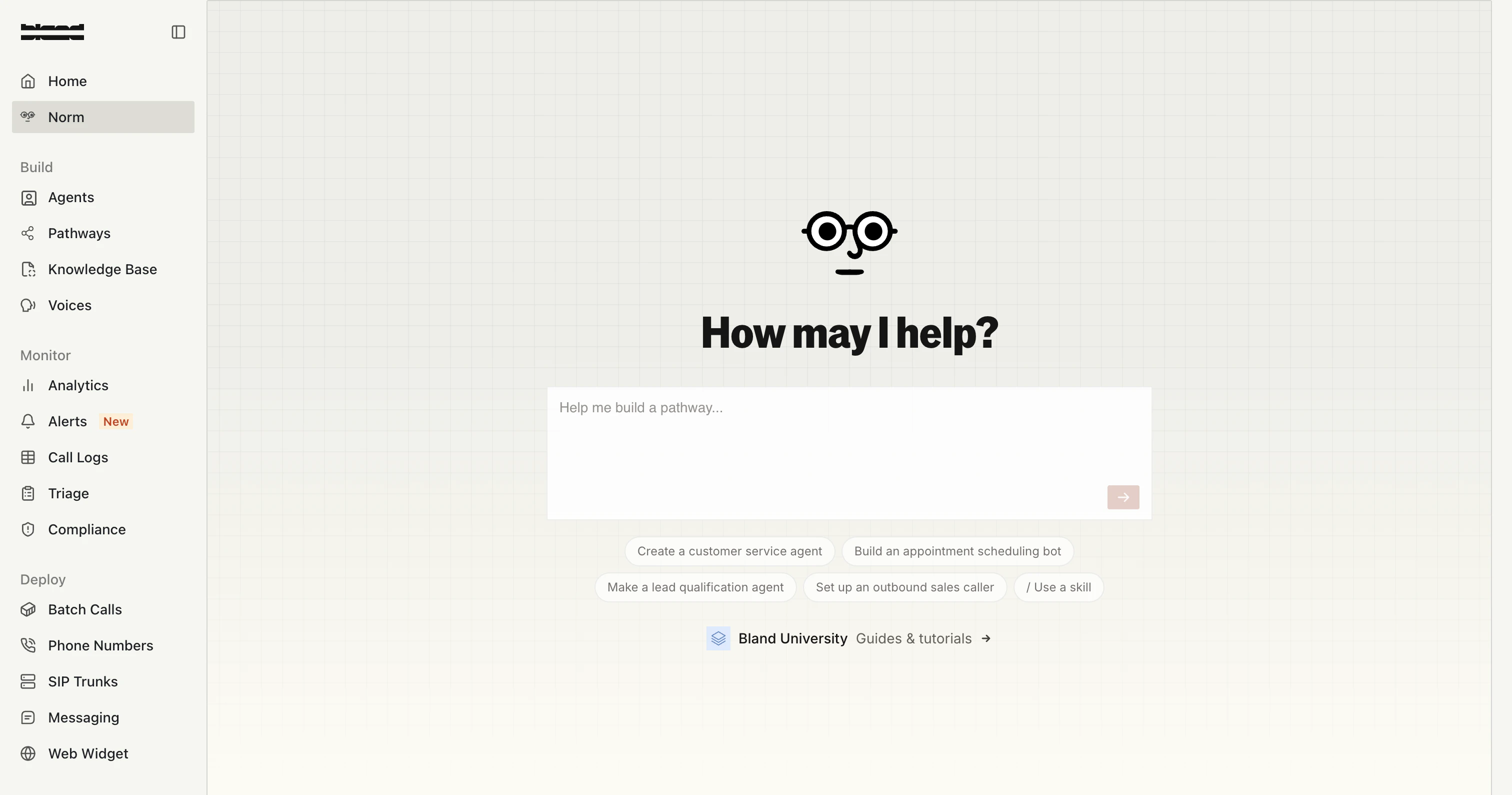 The Norm chat interface in the Bland dashboard