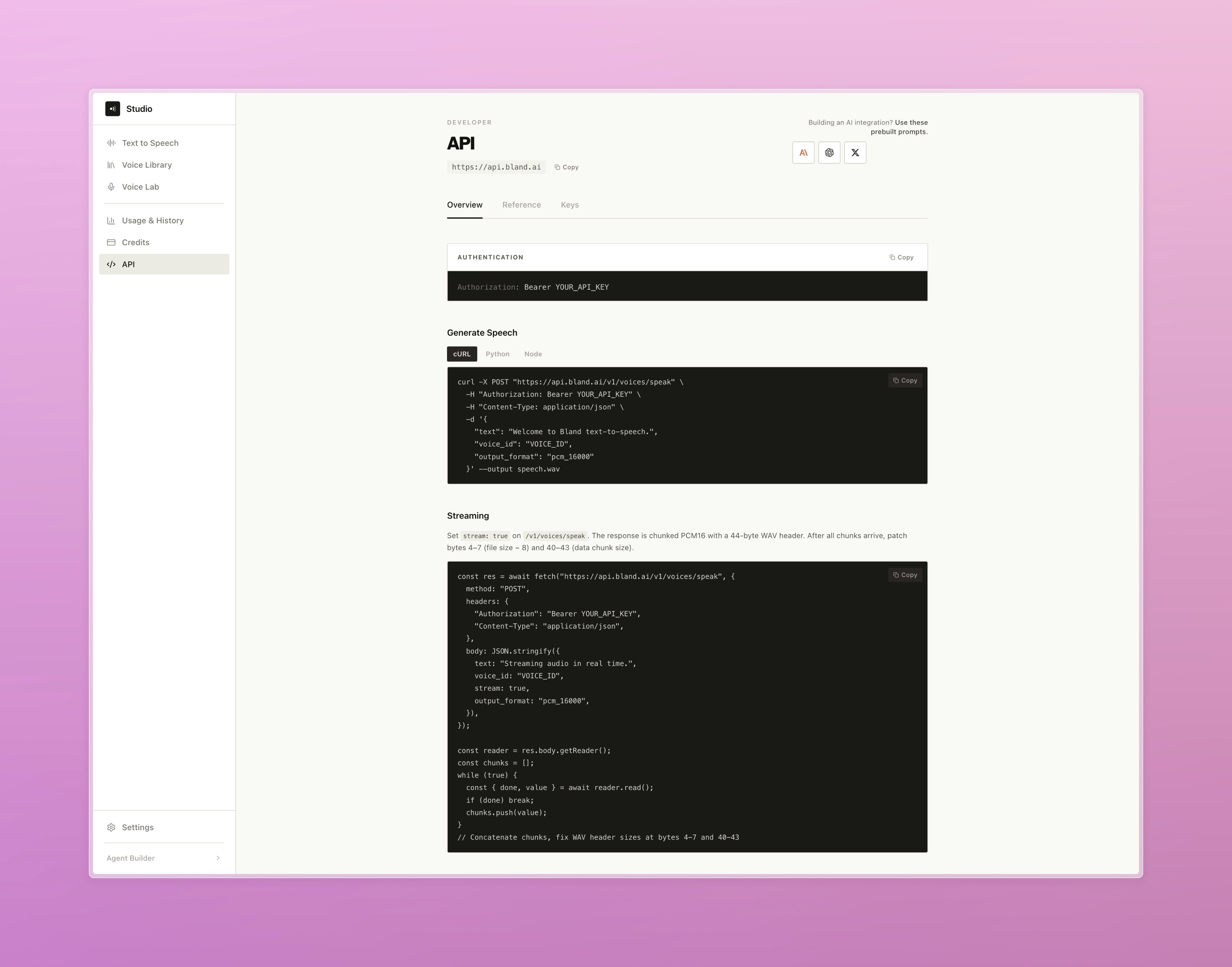 Developer API page showing authentication, code examples in cURL and Node, and streaming docs