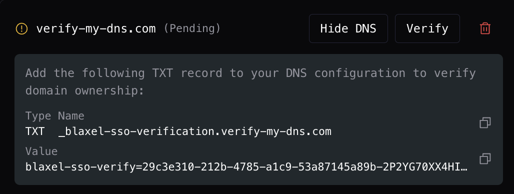 DNS TXT record panel