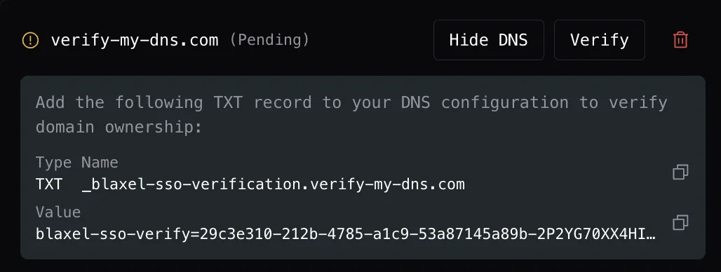 DNS TXT record panel