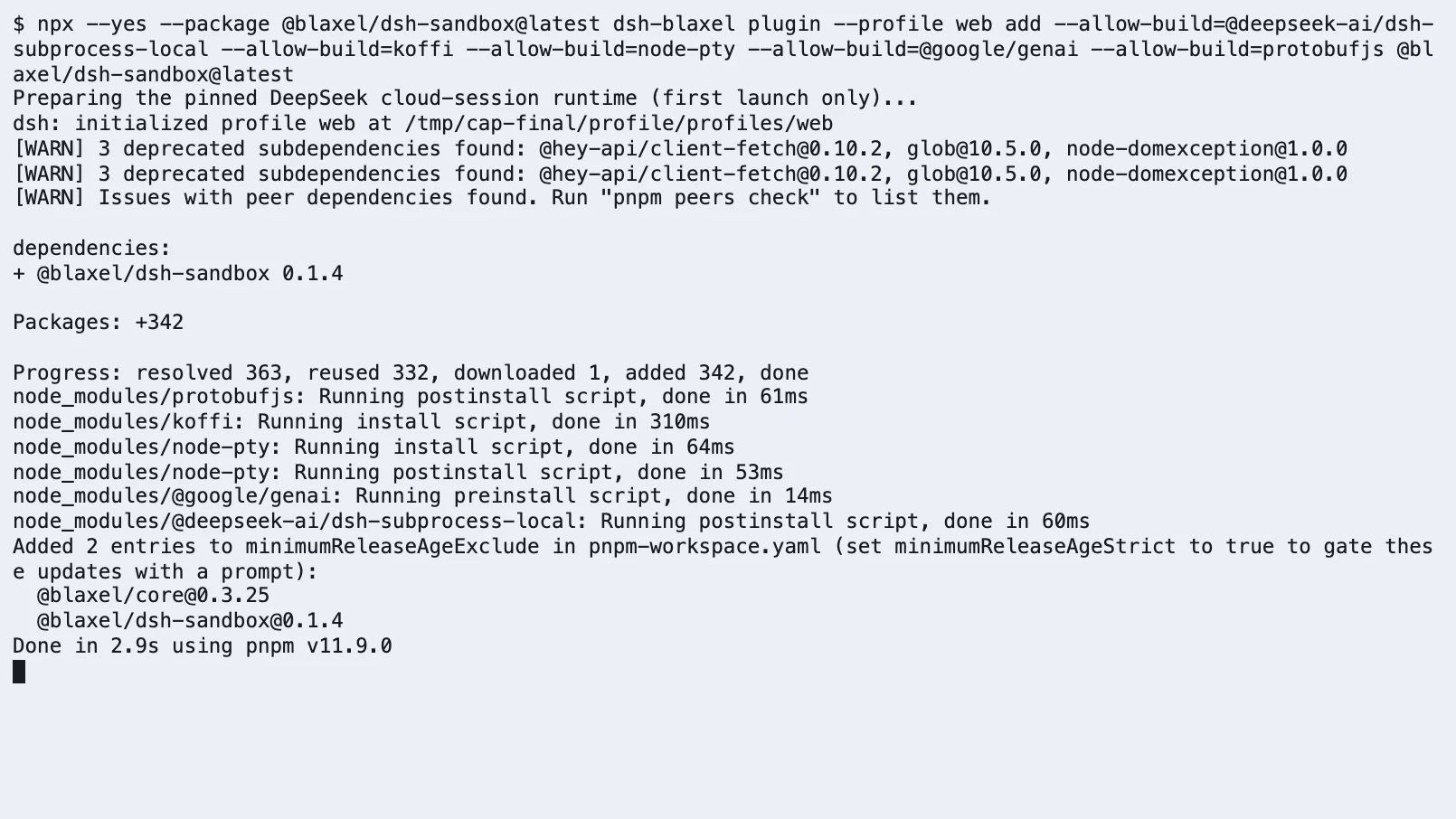Successful CLI installation of the Blaxel plugin into a DSH Web profile