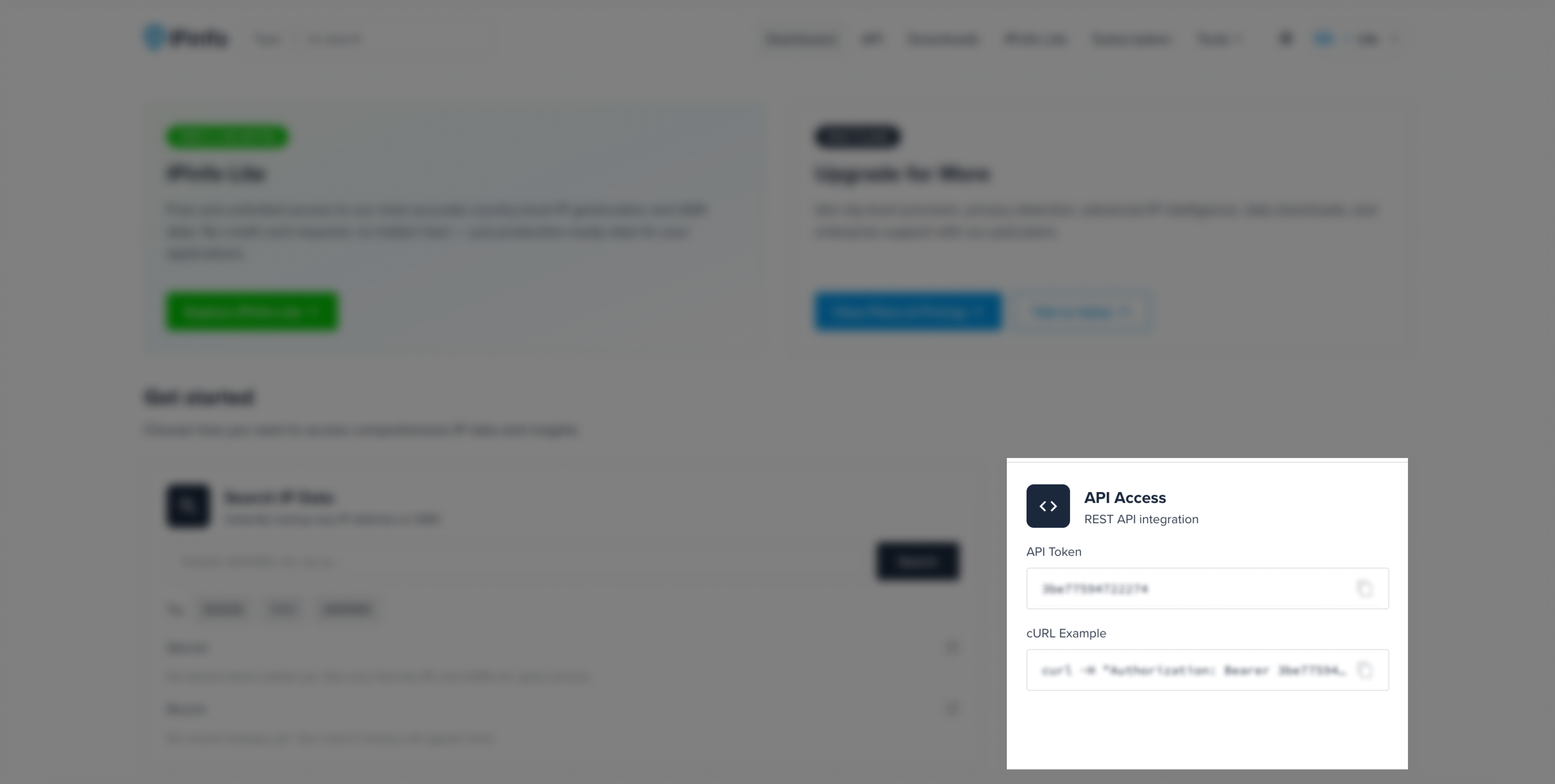 IPinfo access token section