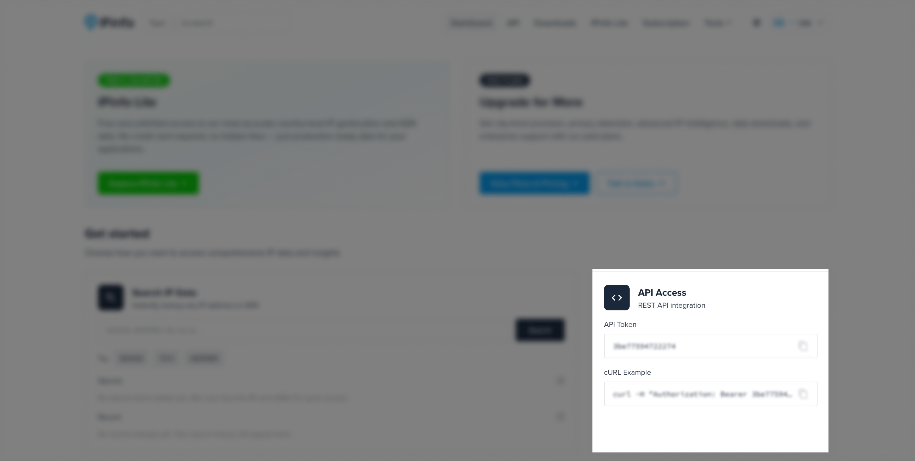 IPinfo access token section
