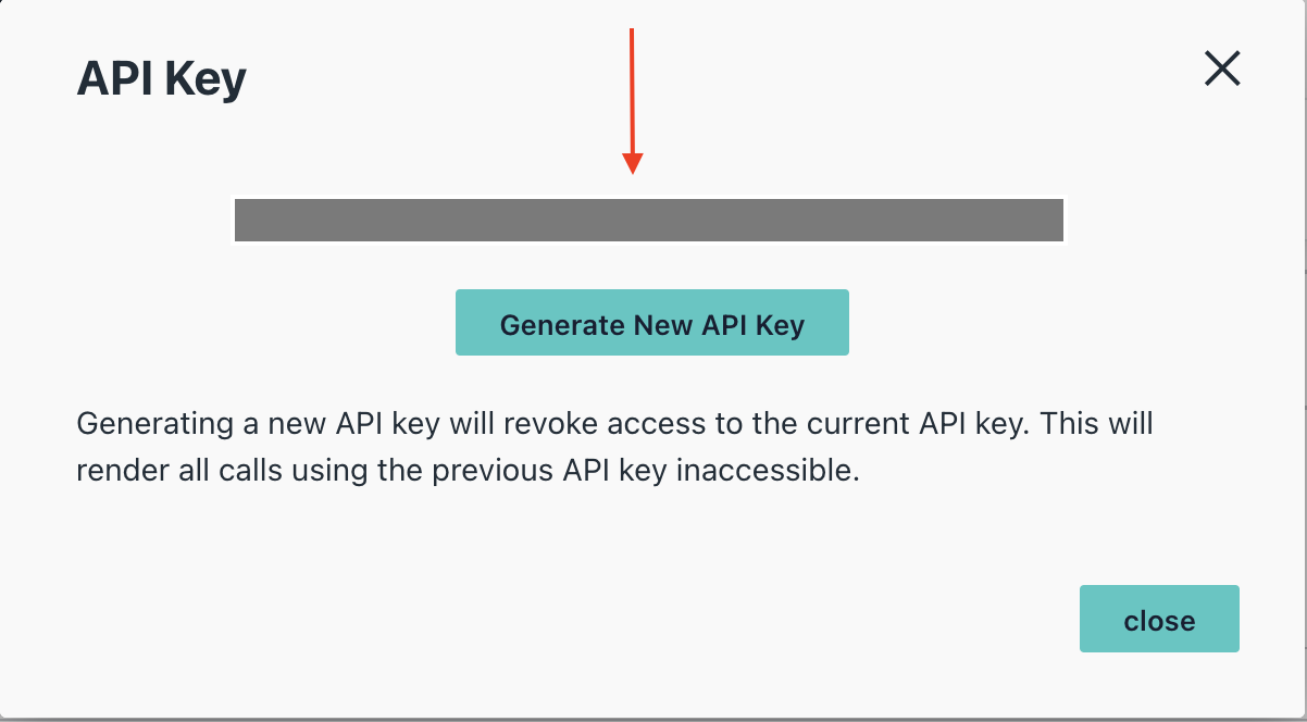 Copy API Key