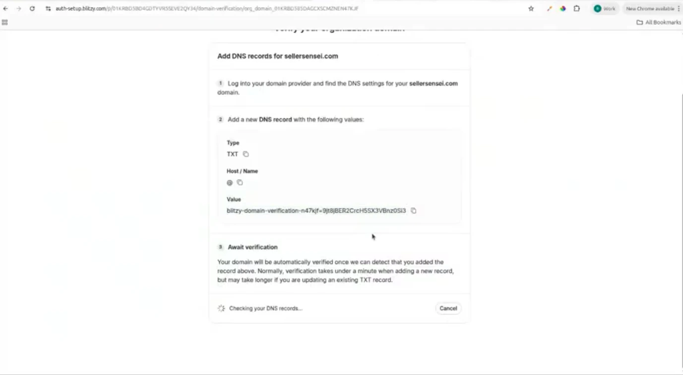 The DNS record details and verification pending state