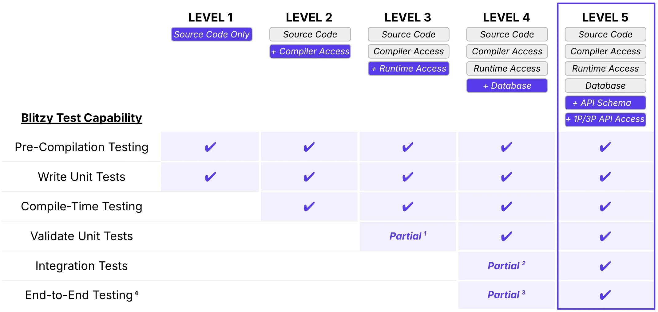 Blitzy Environment Access Levels