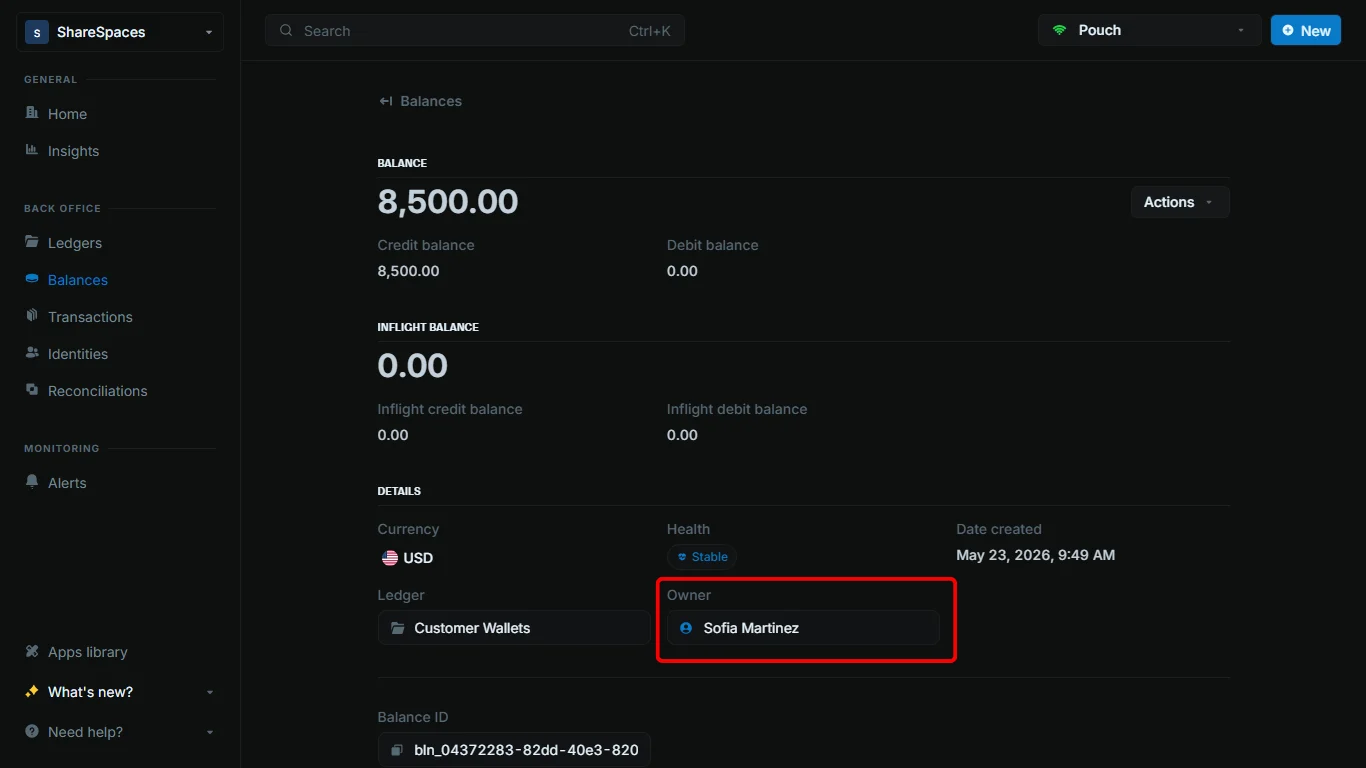 Balance details showing the linked identity in the Owner field