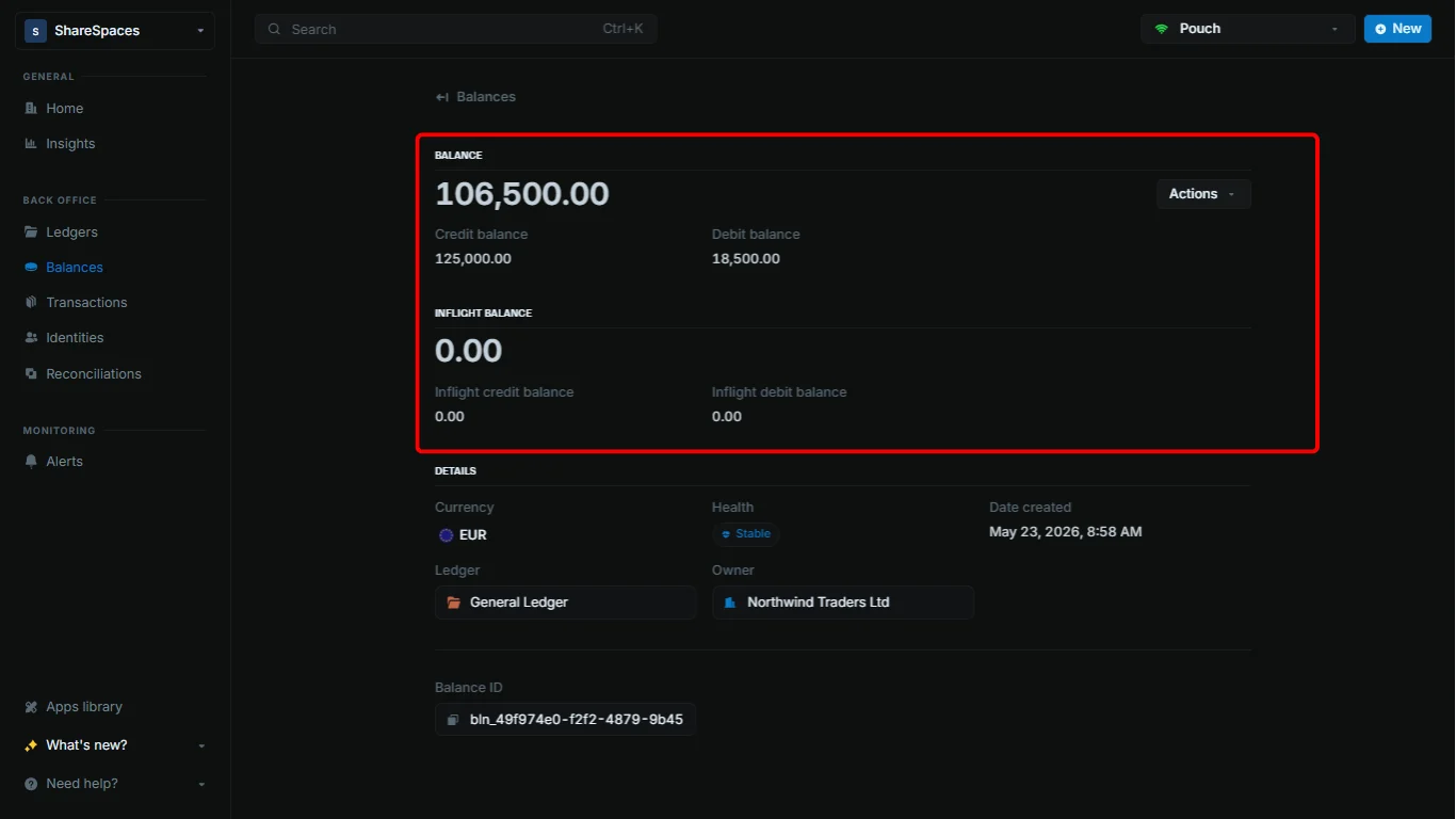Balance details page showing summary information for a balance