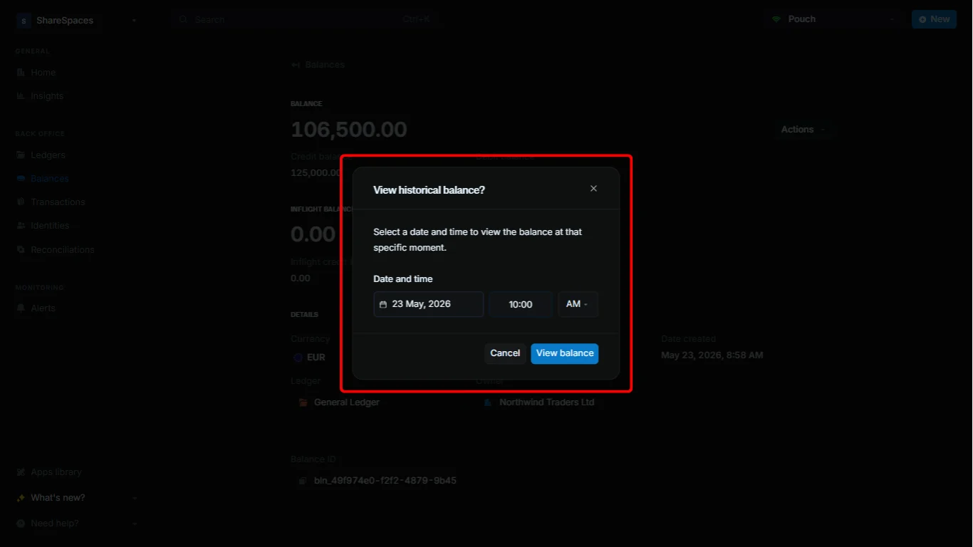 View historical balance dialog with date and time fields