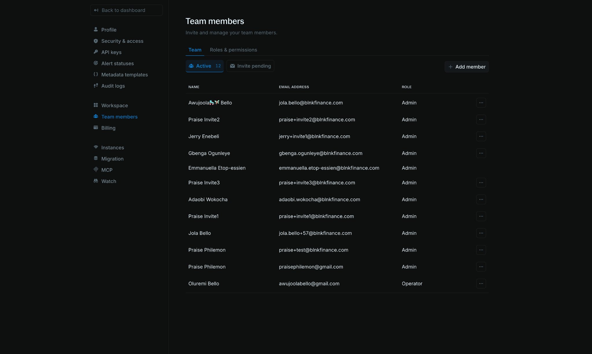Team members page showing active teammates and the Add member button
