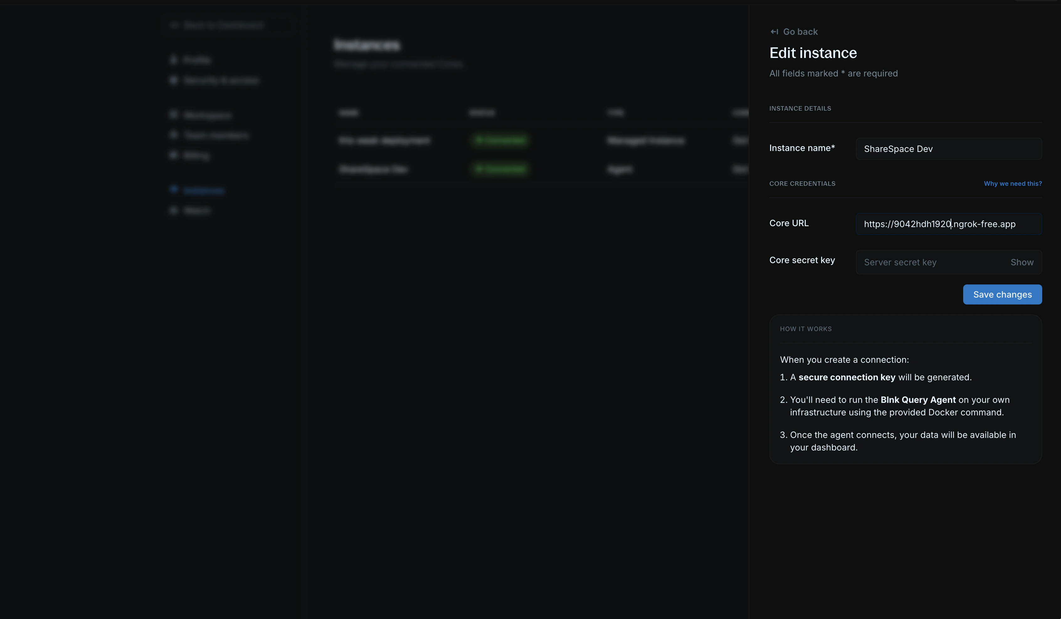 Edit instance form showing Core URL and secret key fields