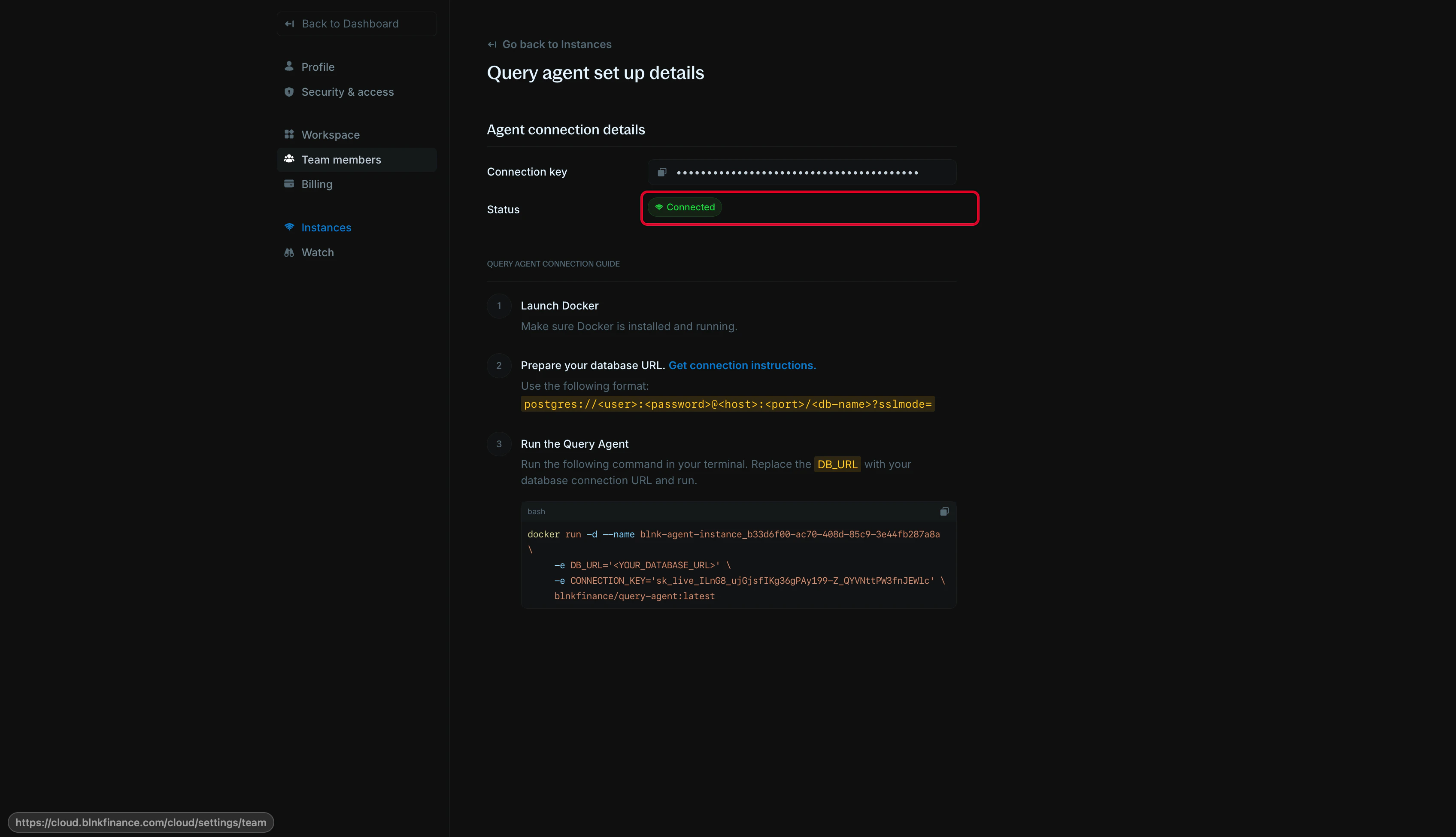 Instance connection status showing Connected with green indicator