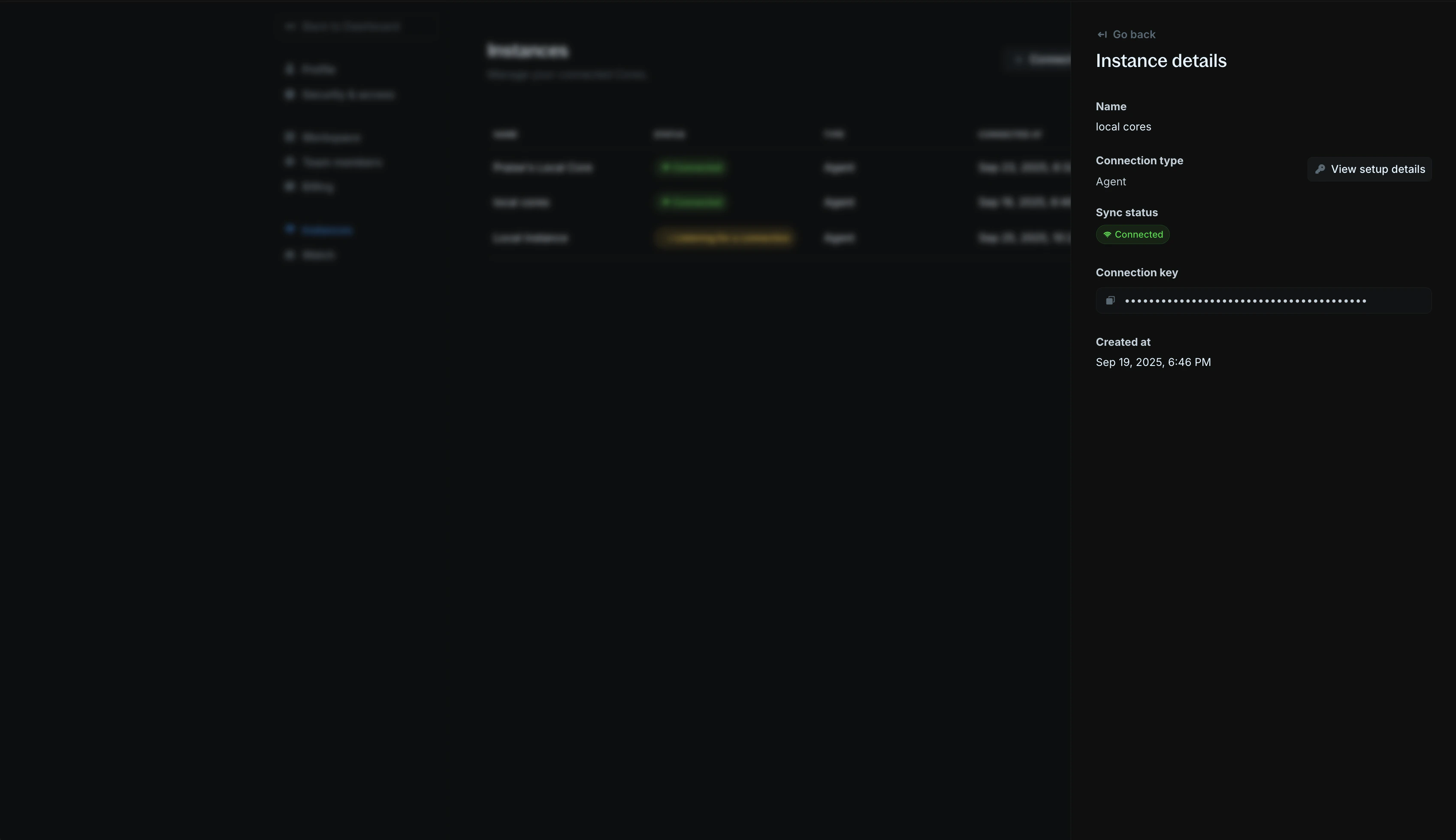 Instance details panel showing instance details