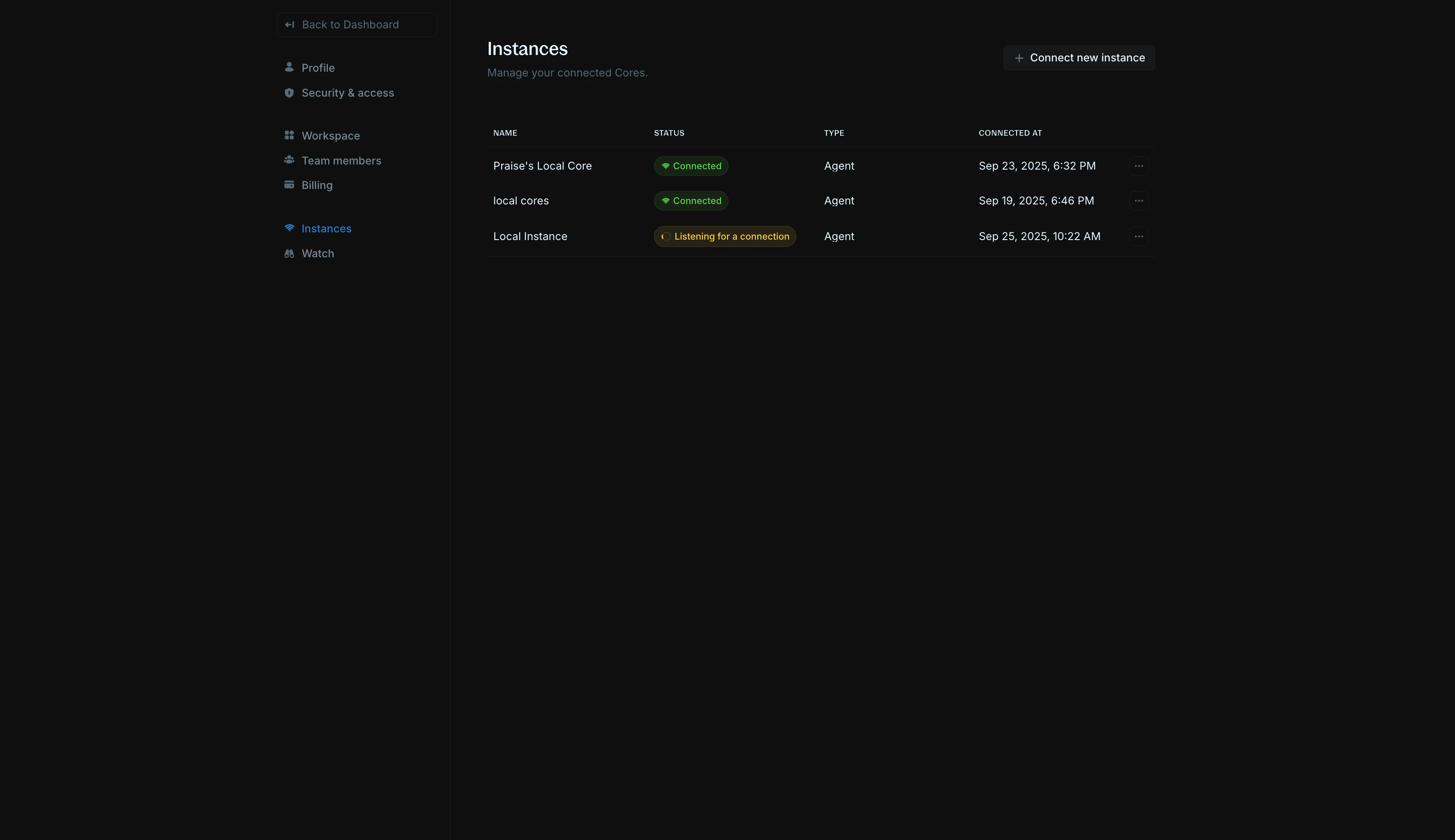 Settings > Instances page showing the Connect new instance button