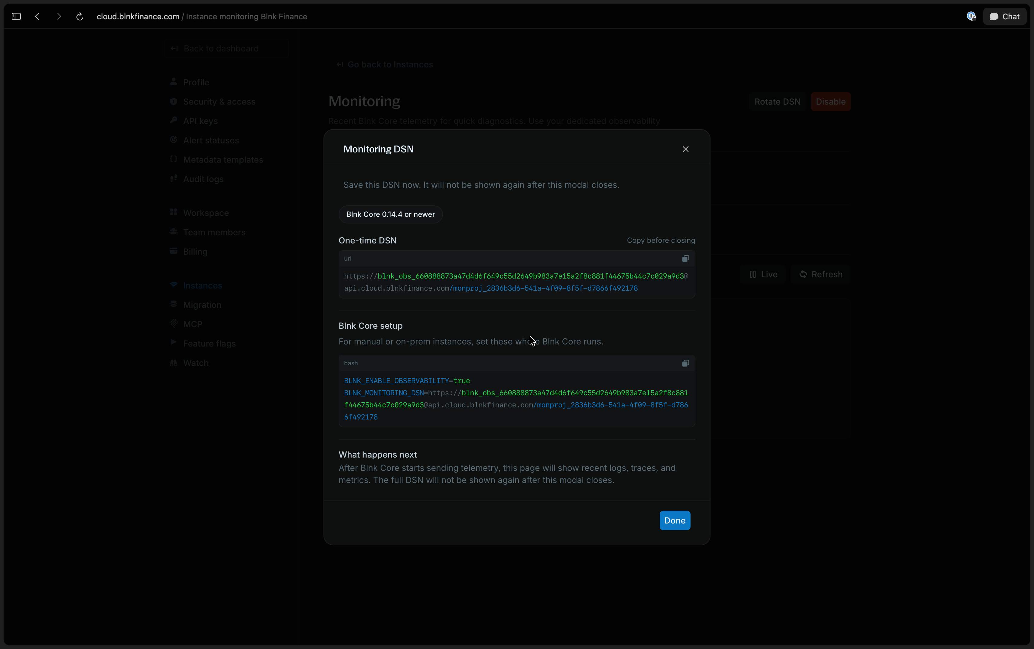 Blnk Cloud instance settings with monitoring enabled and the Blnk Cloud DSN field visible