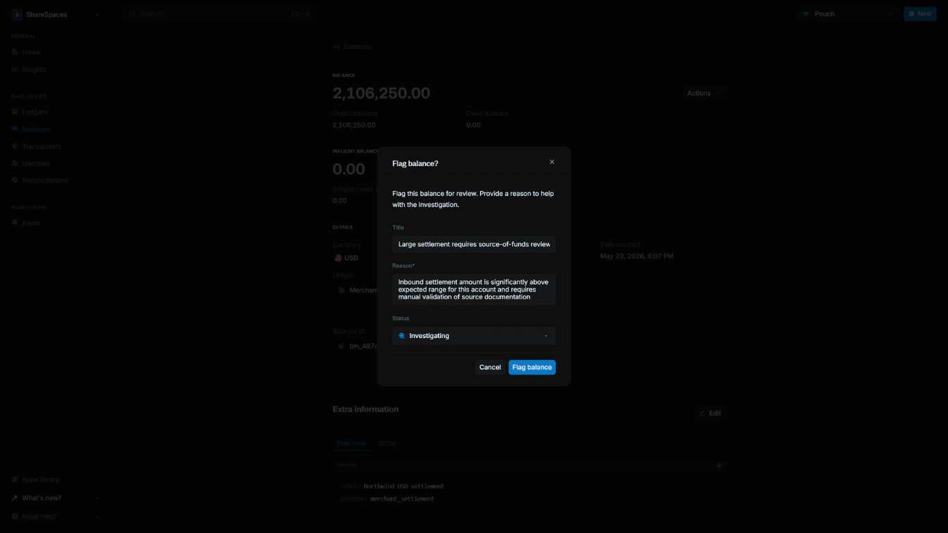 Flag balance modal with title, reason, and status fields