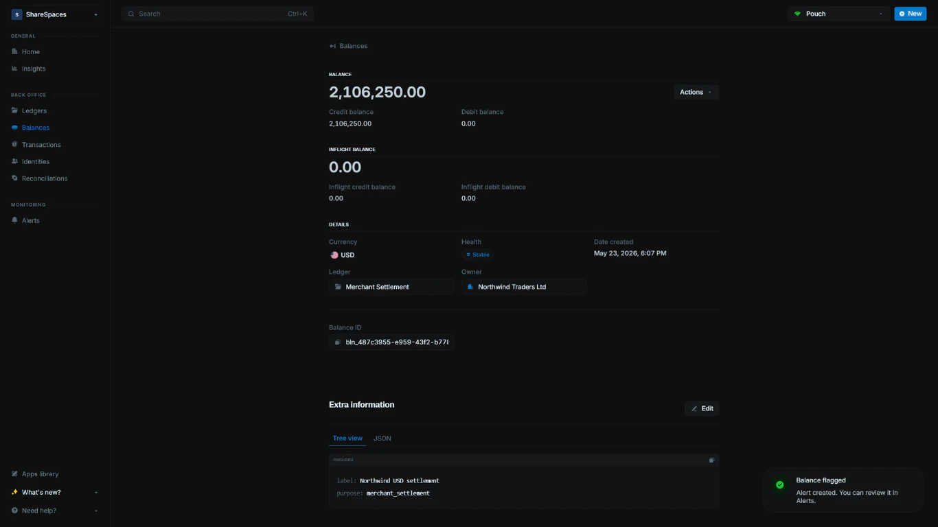 Balance details page after a flag is created