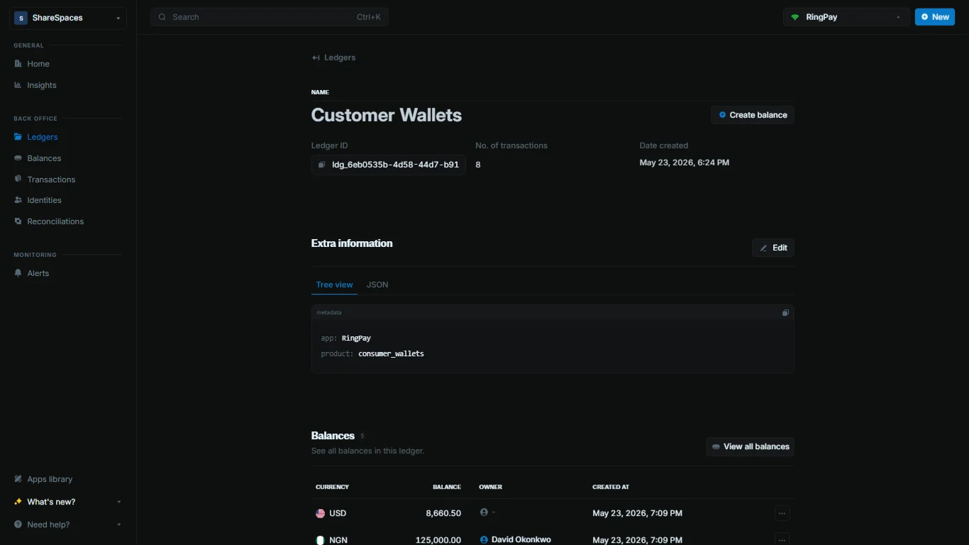 Ledger details page showing summary and balances section