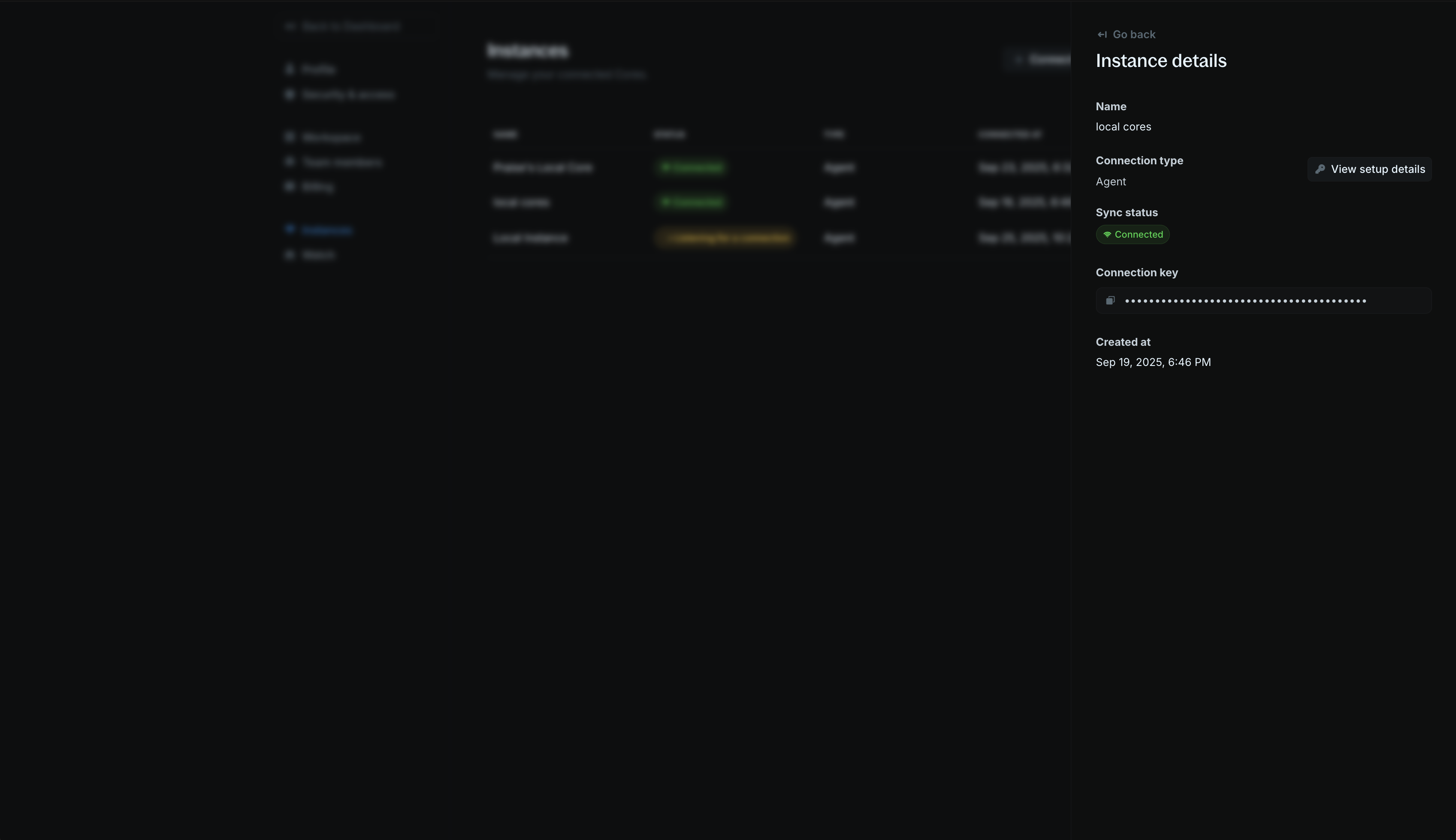 Instance details panel showing instance details