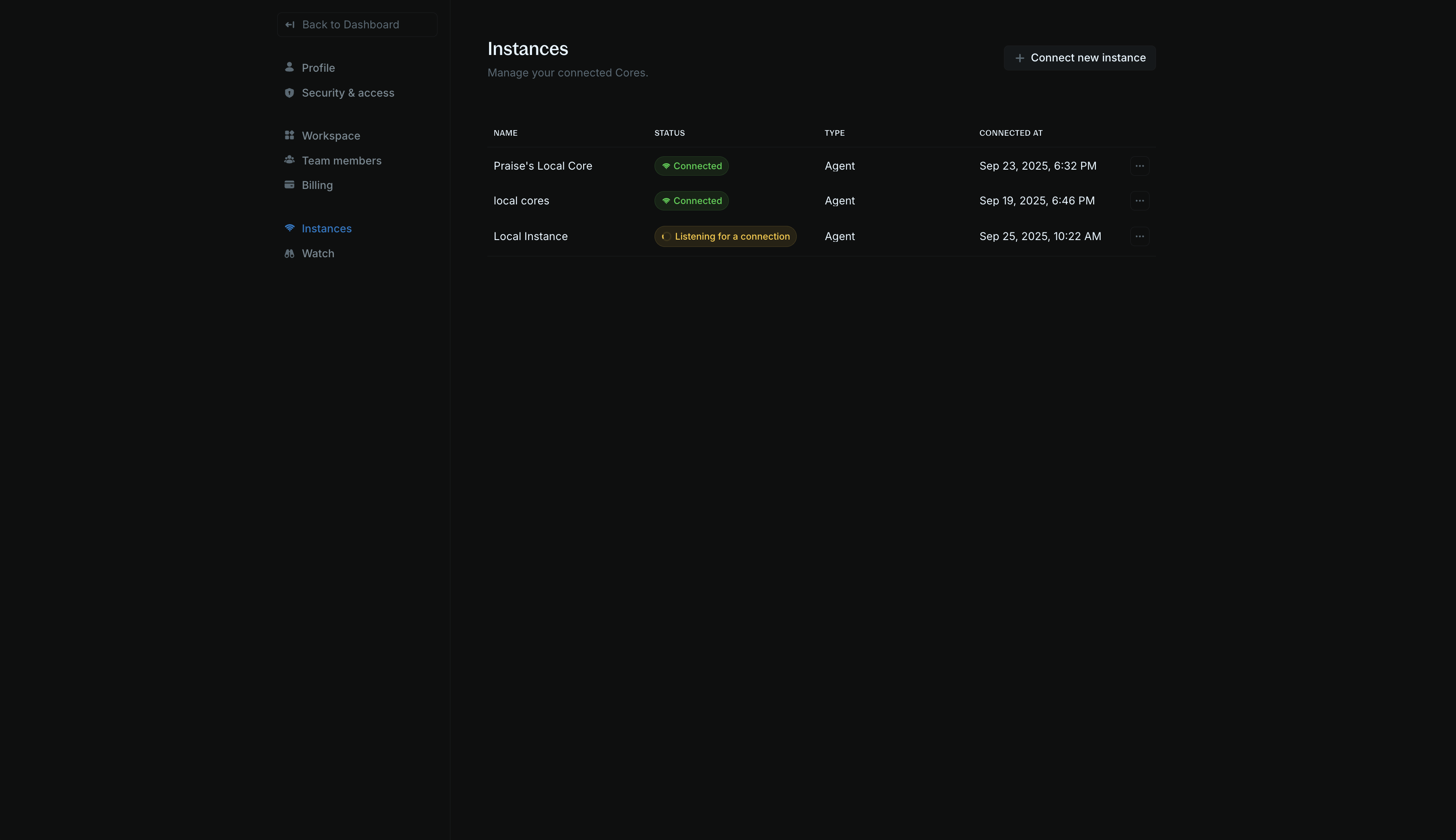 Settings > Instances page showing the Connect new instance button