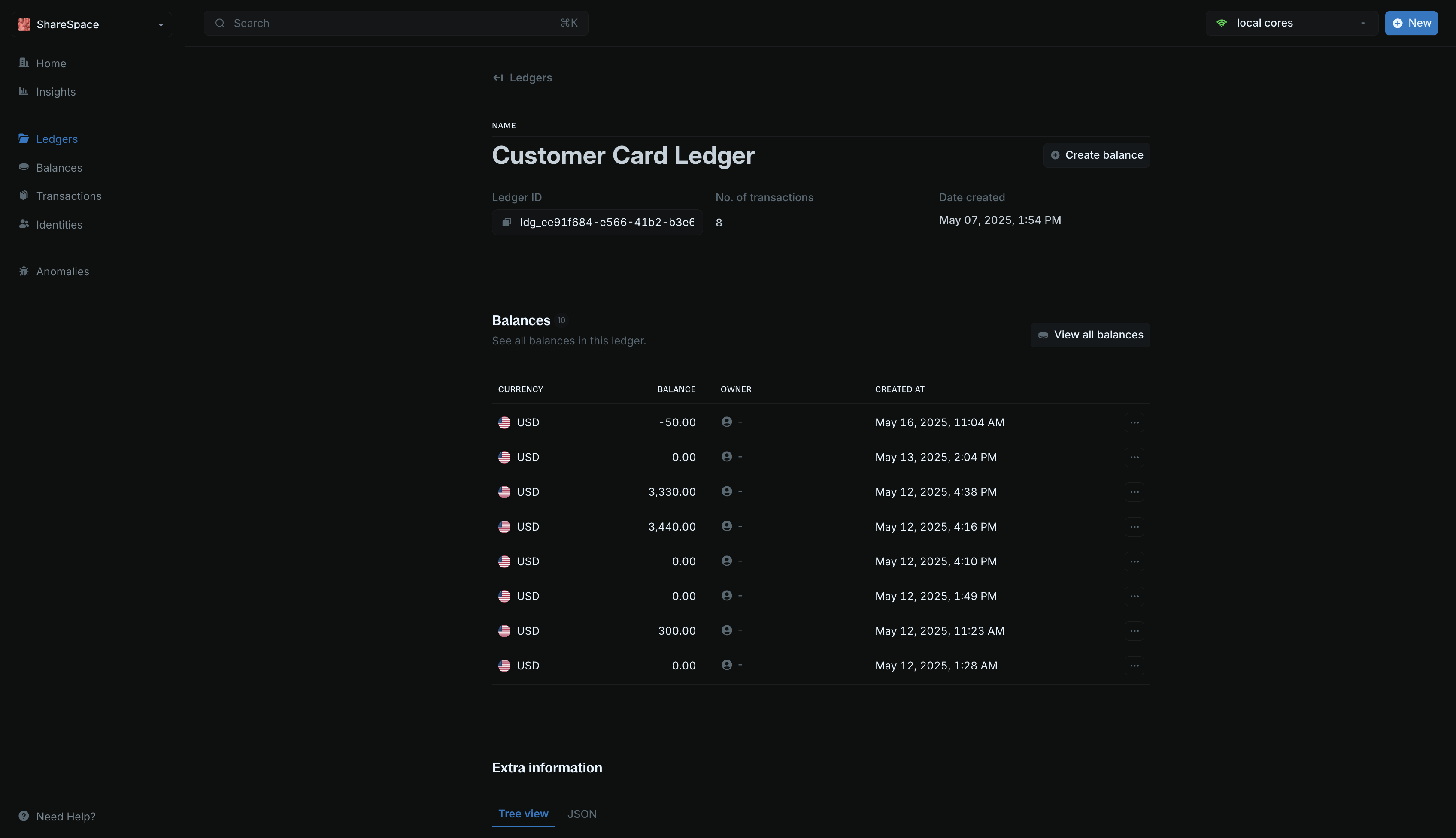 Ledger details page showing summary and balances section