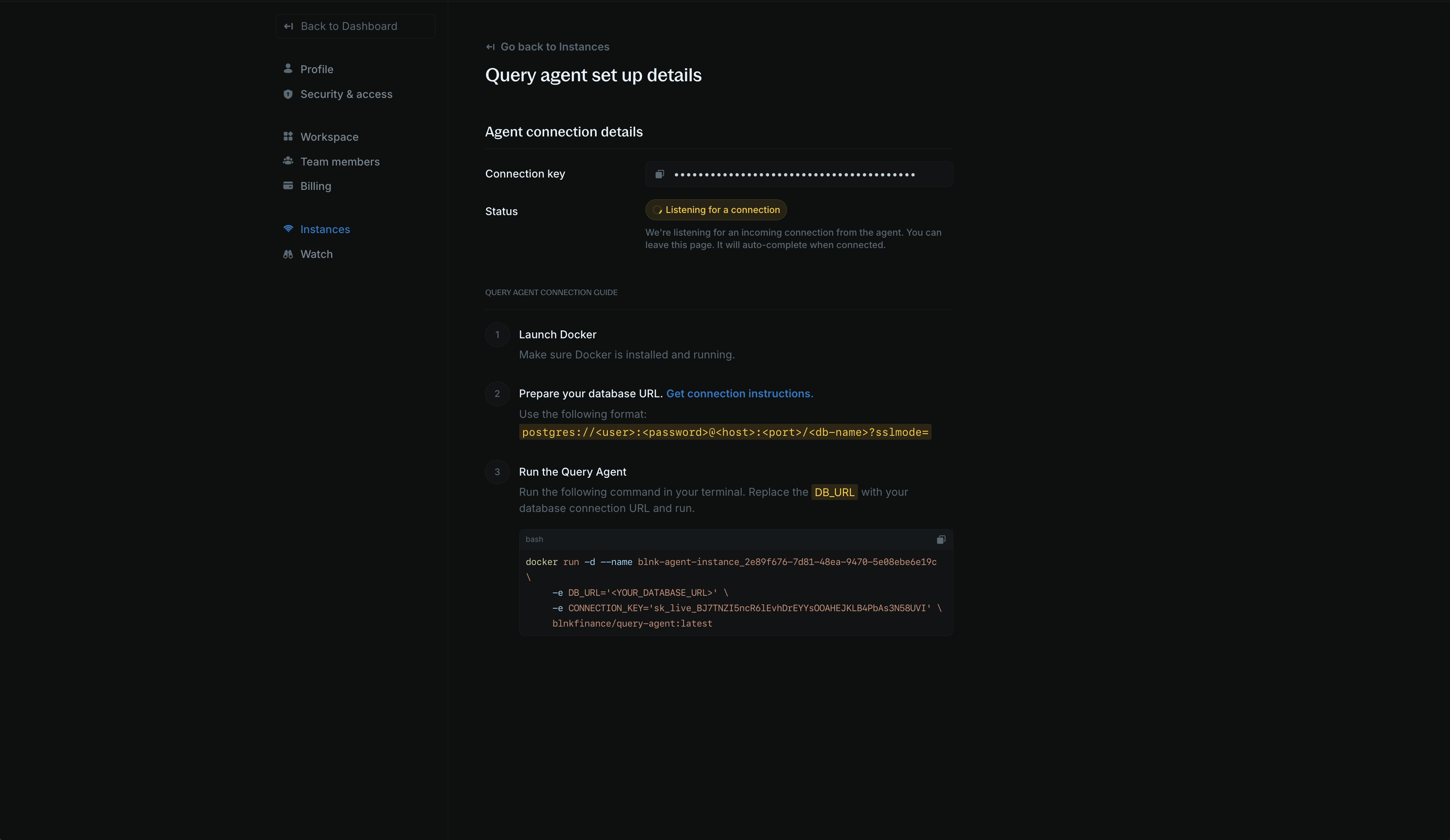 Query Agent setup page showing docker command