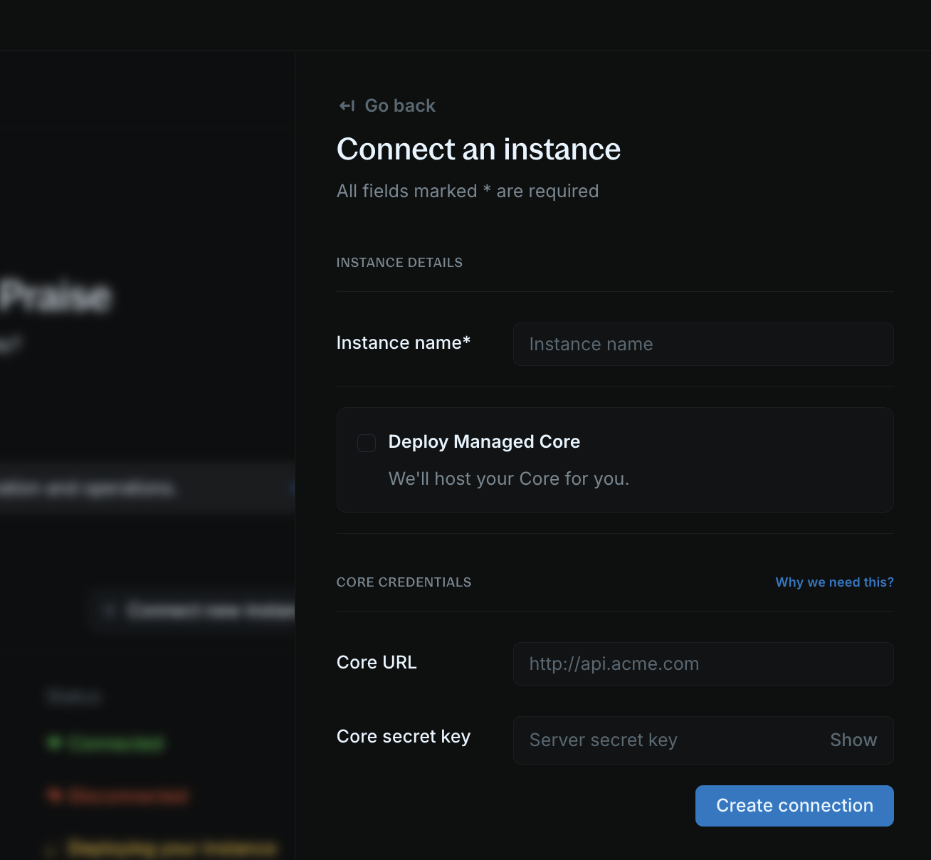 Connect instance | Blnk Cloud