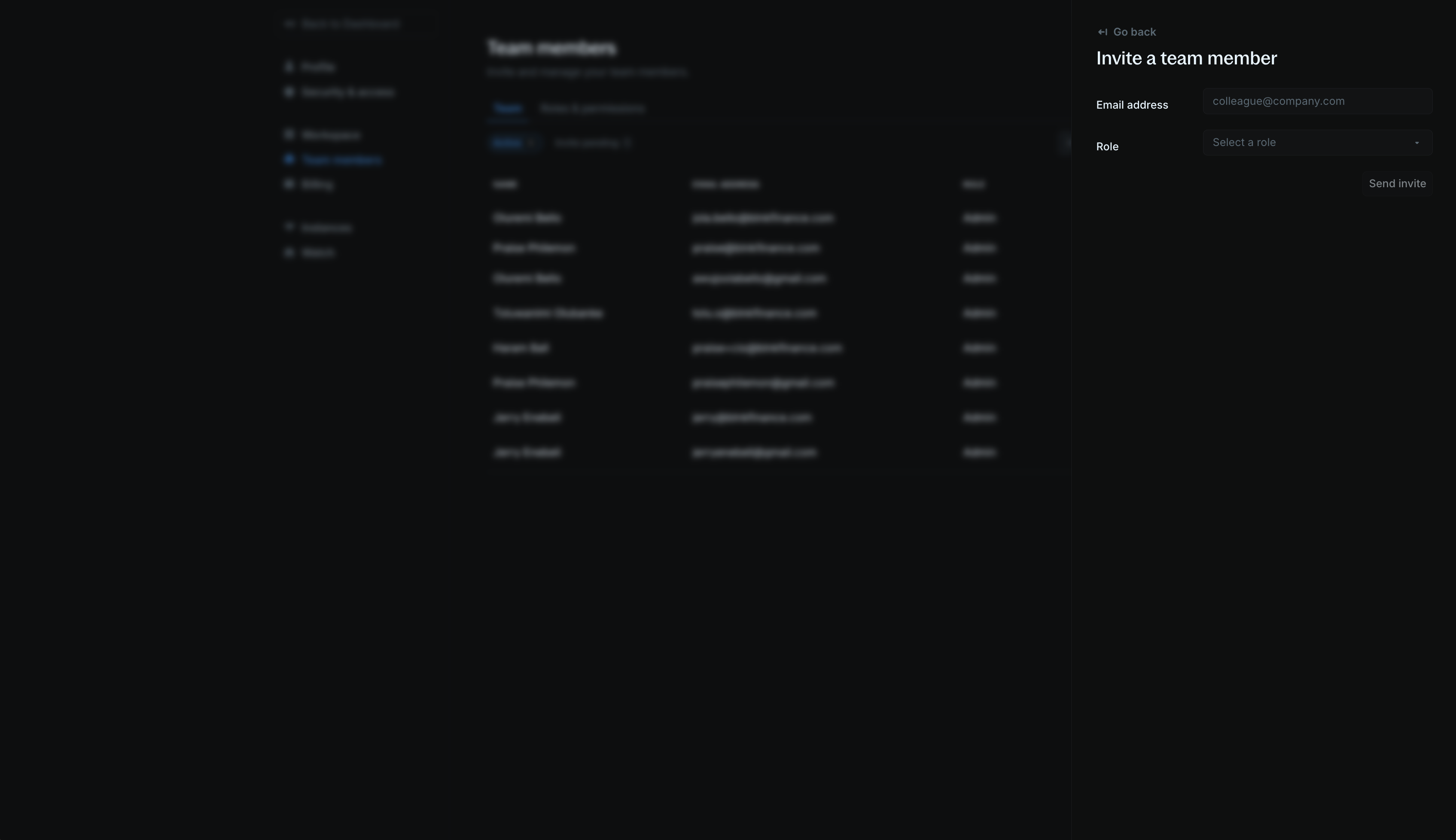 Add member form with email and role fields